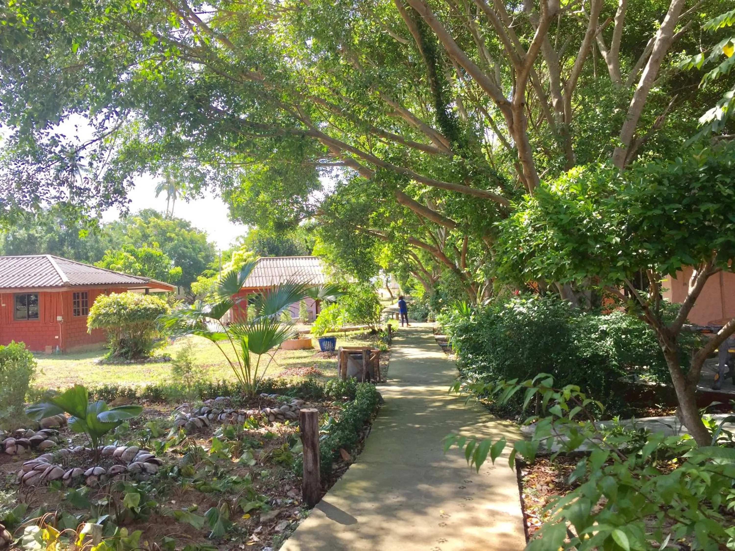 Garden in Lamai chalet