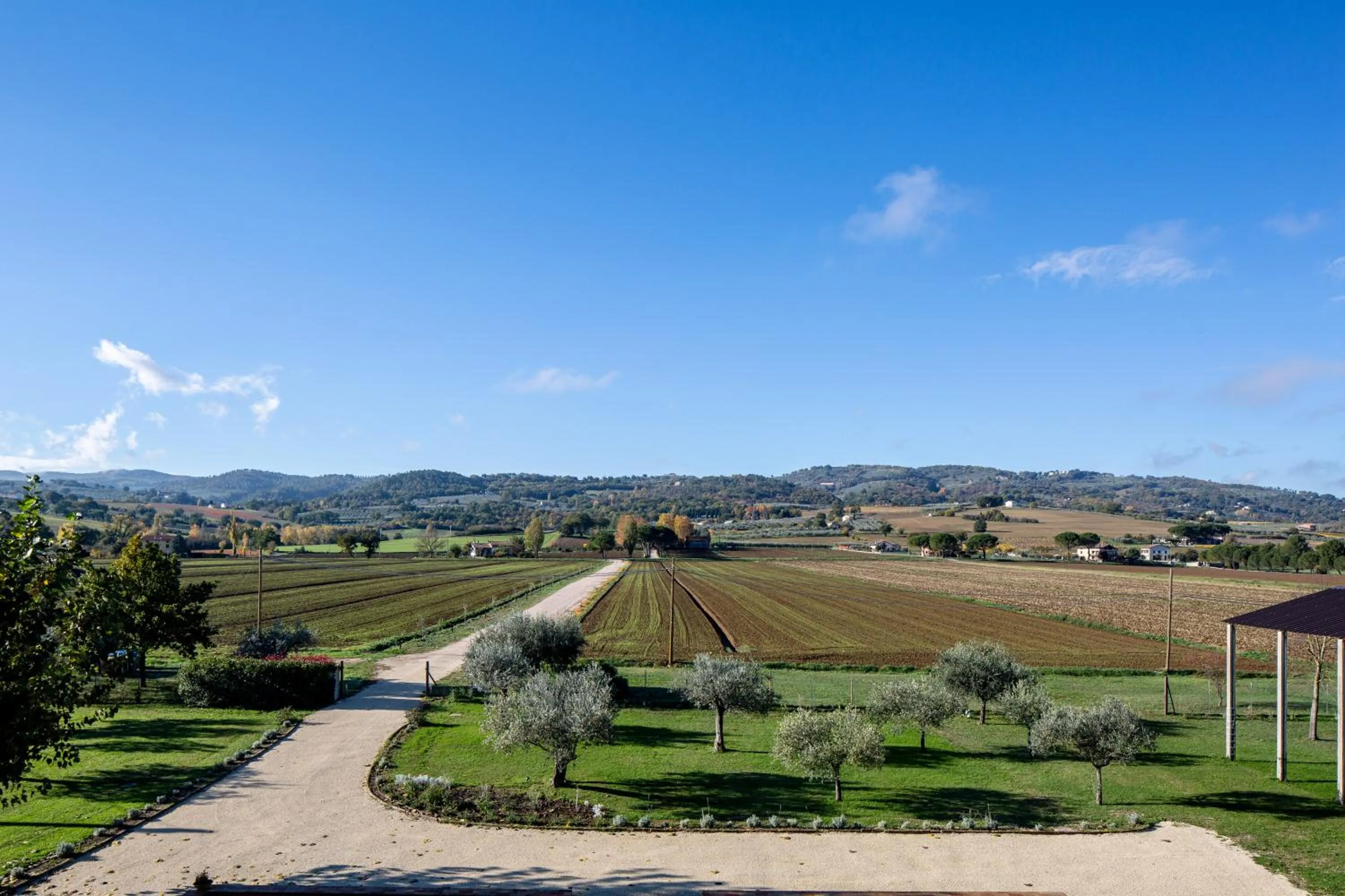 Cycling in SeiPetali