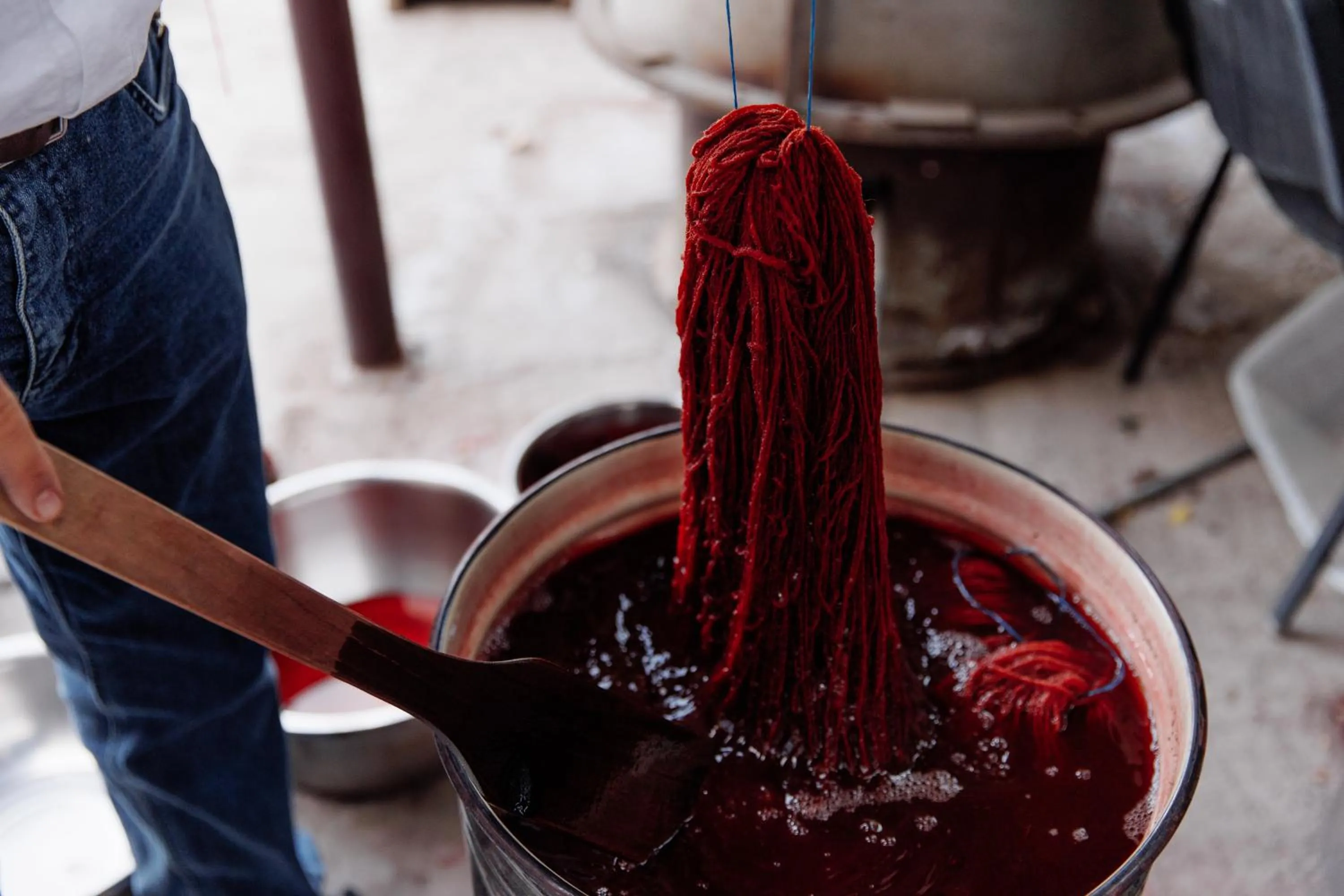 Activities in woolway studios