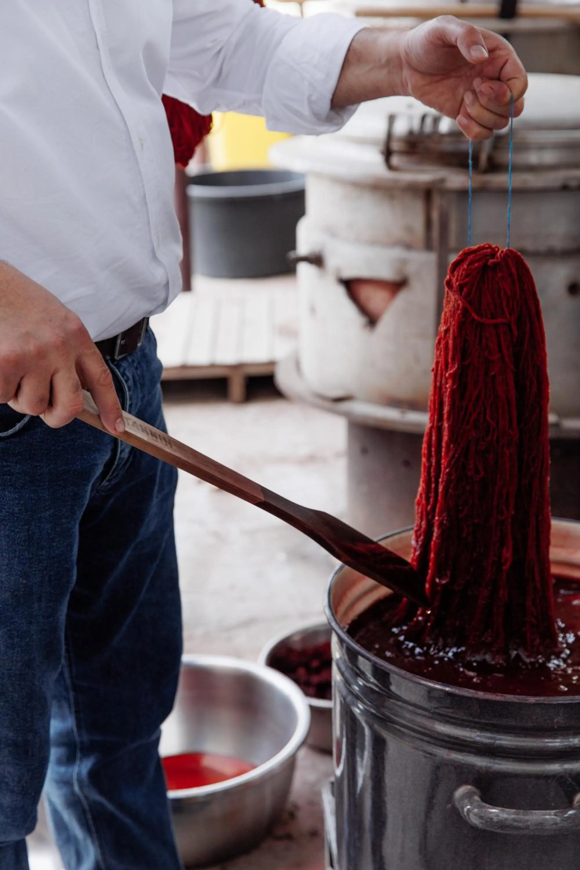 Activities in woolway studios