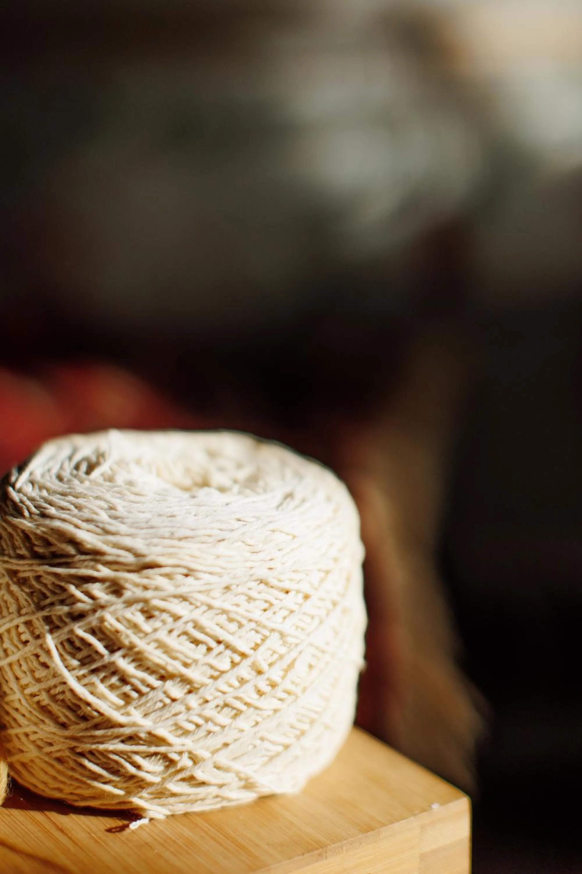 Activities in woolway studios