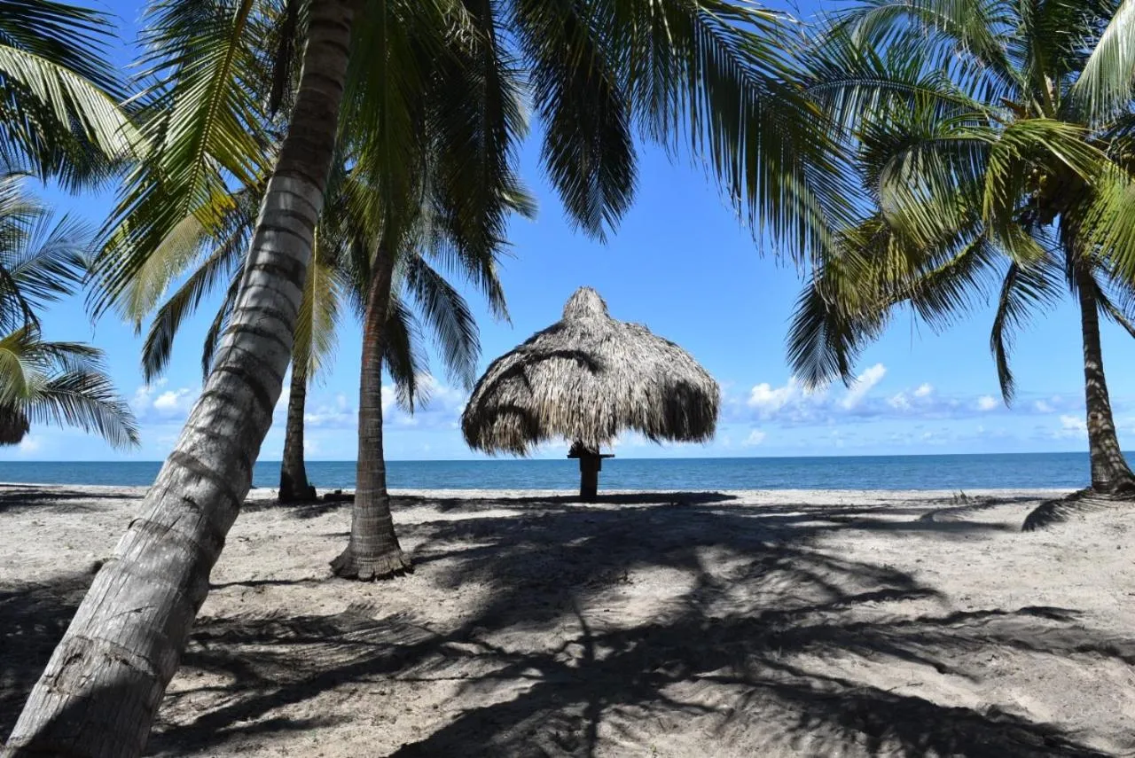 Beach in UUTTAAKA Eco-Hotel