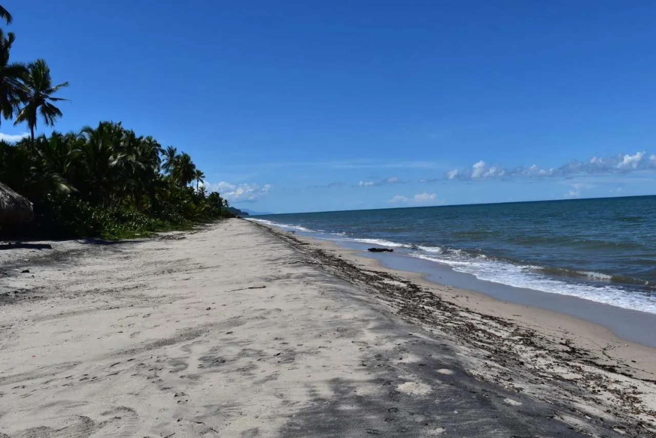 Natural landscape in UUTTAAKA Eco-Hotel