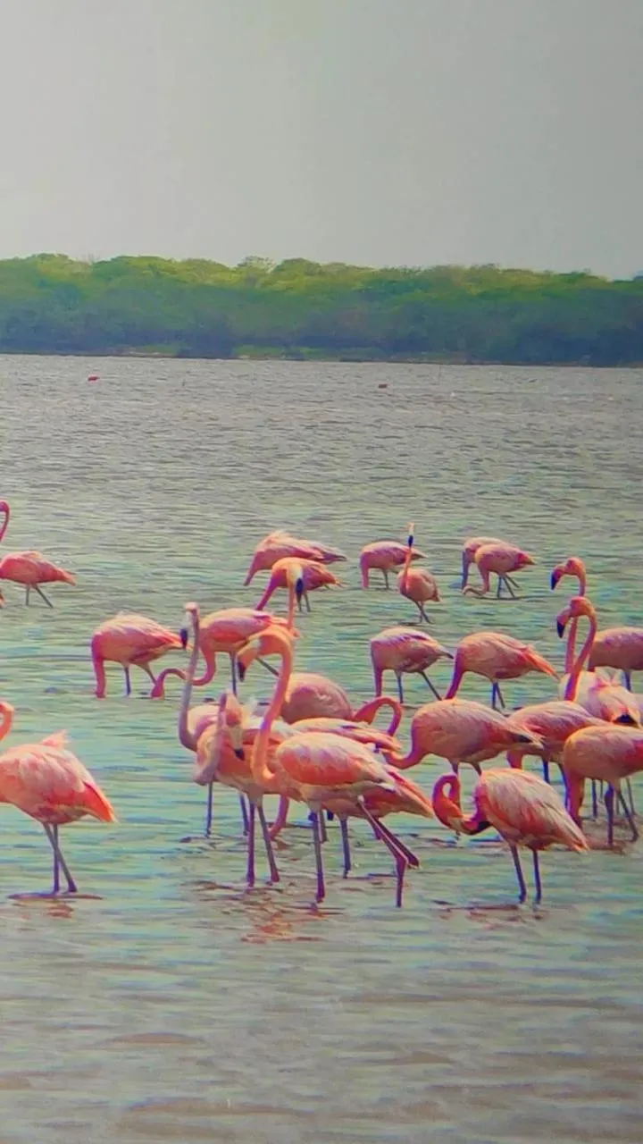 Activities in UUTTAAKA Eco-Hotel