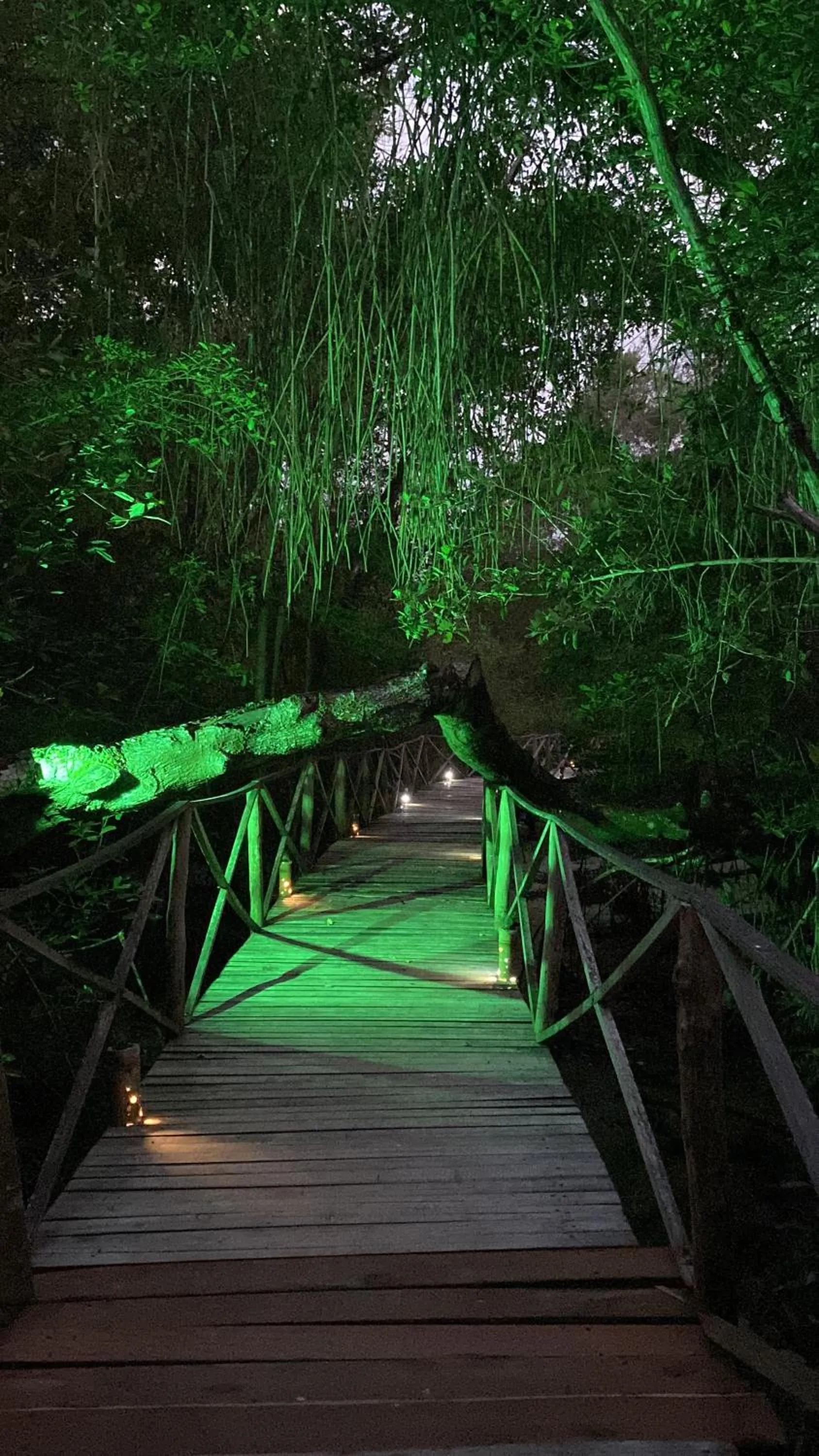 Hiking in UUTTAAKA Eco-Hotel