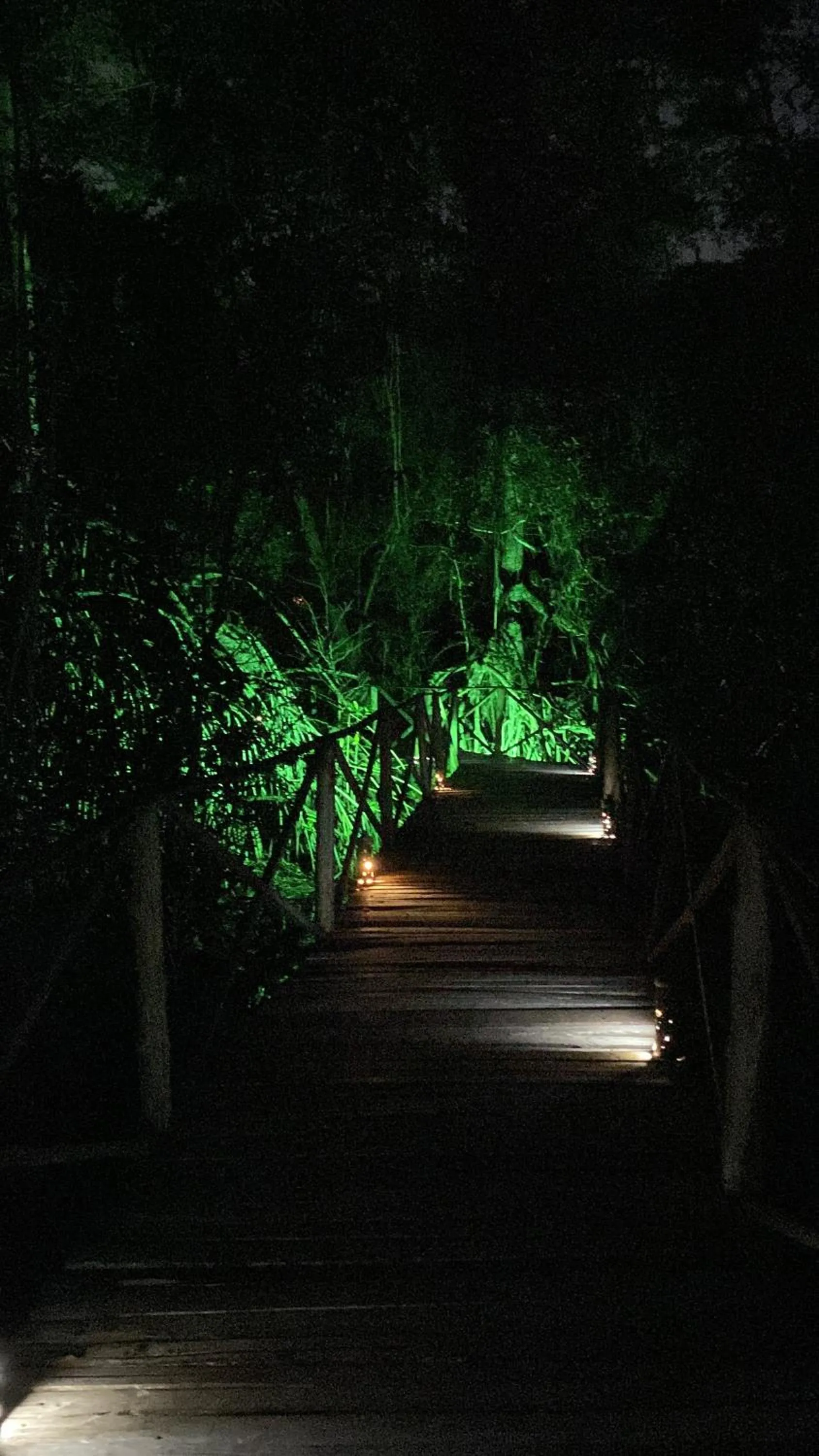 Hiking in UUTTAAKA Eco-Hotel