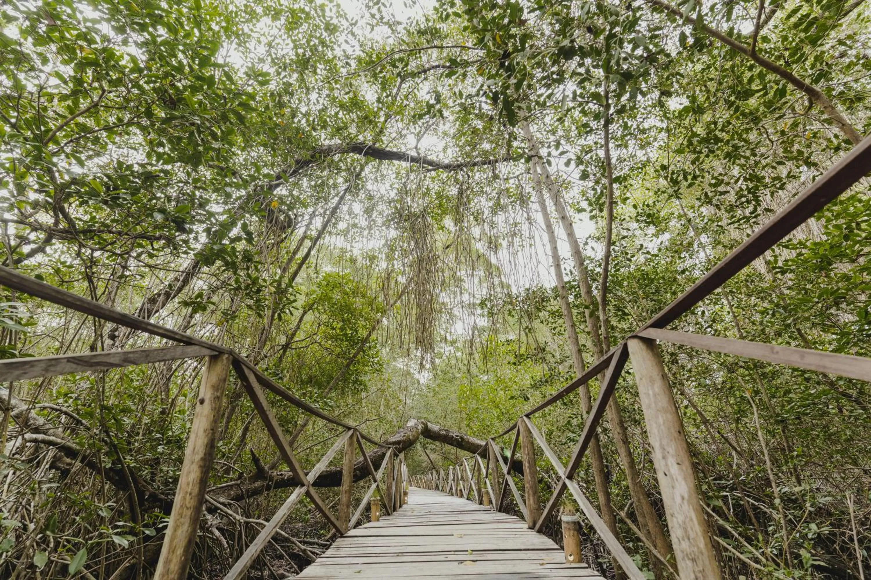 Hiking in UUTTAAKA Eco-Hotel