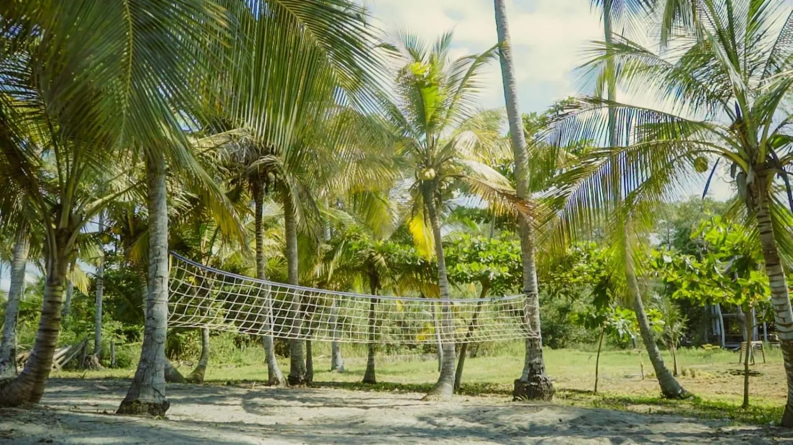 Activities in UUTTAAKA Eco-Hotel