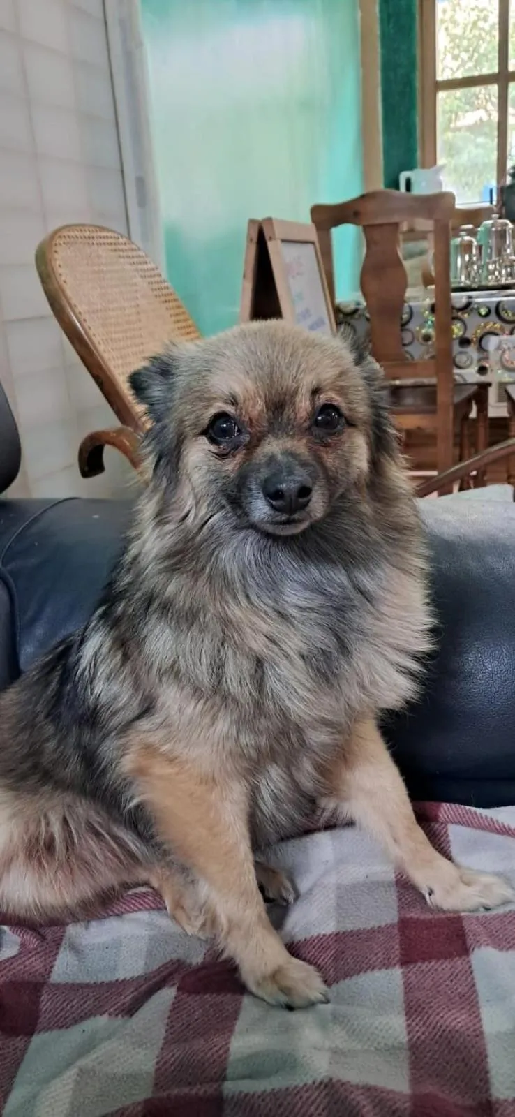 ALBERGUE peregrinos CASAFLOR