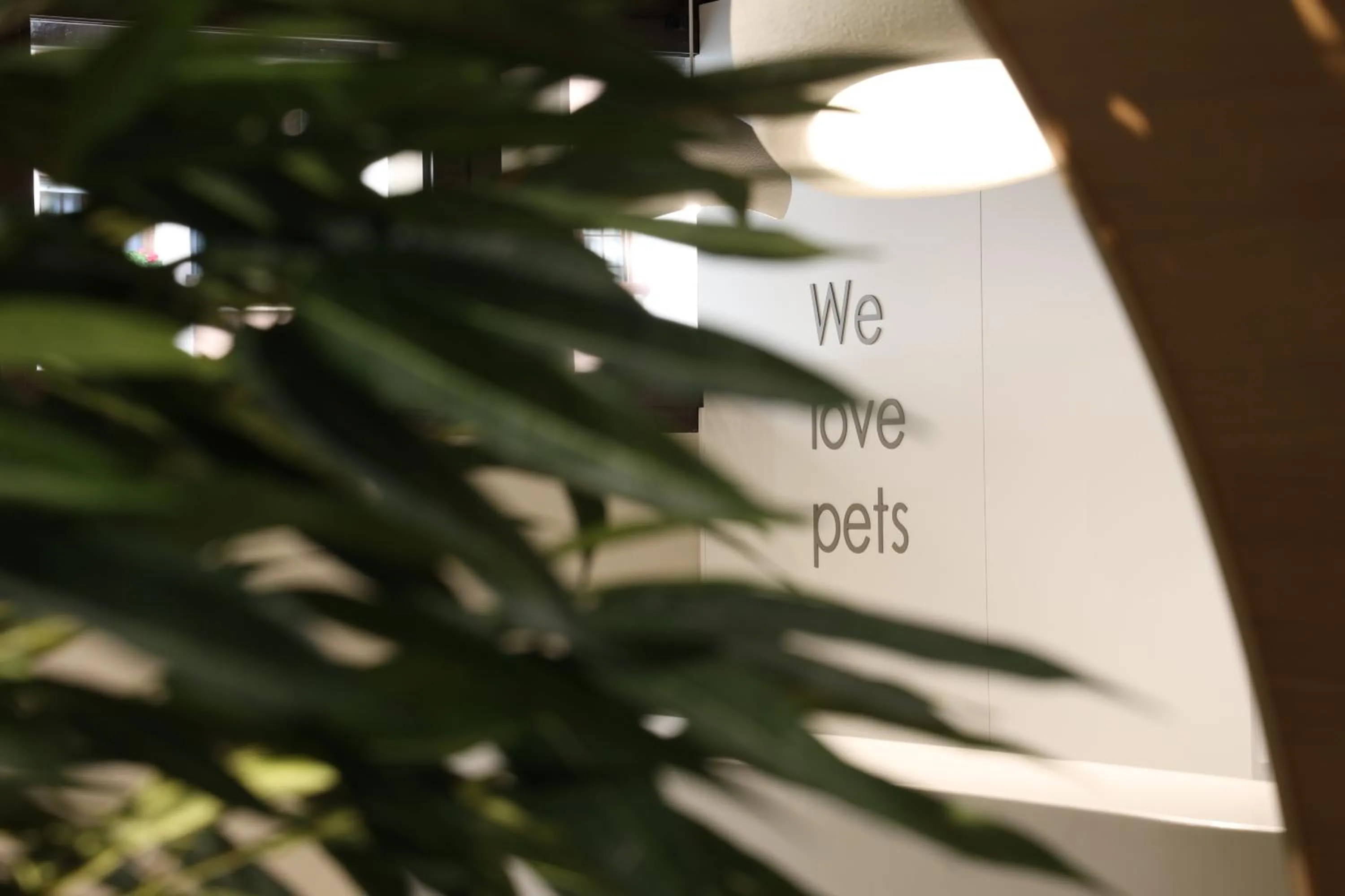 Animals in Aparthotel Nou Vielha