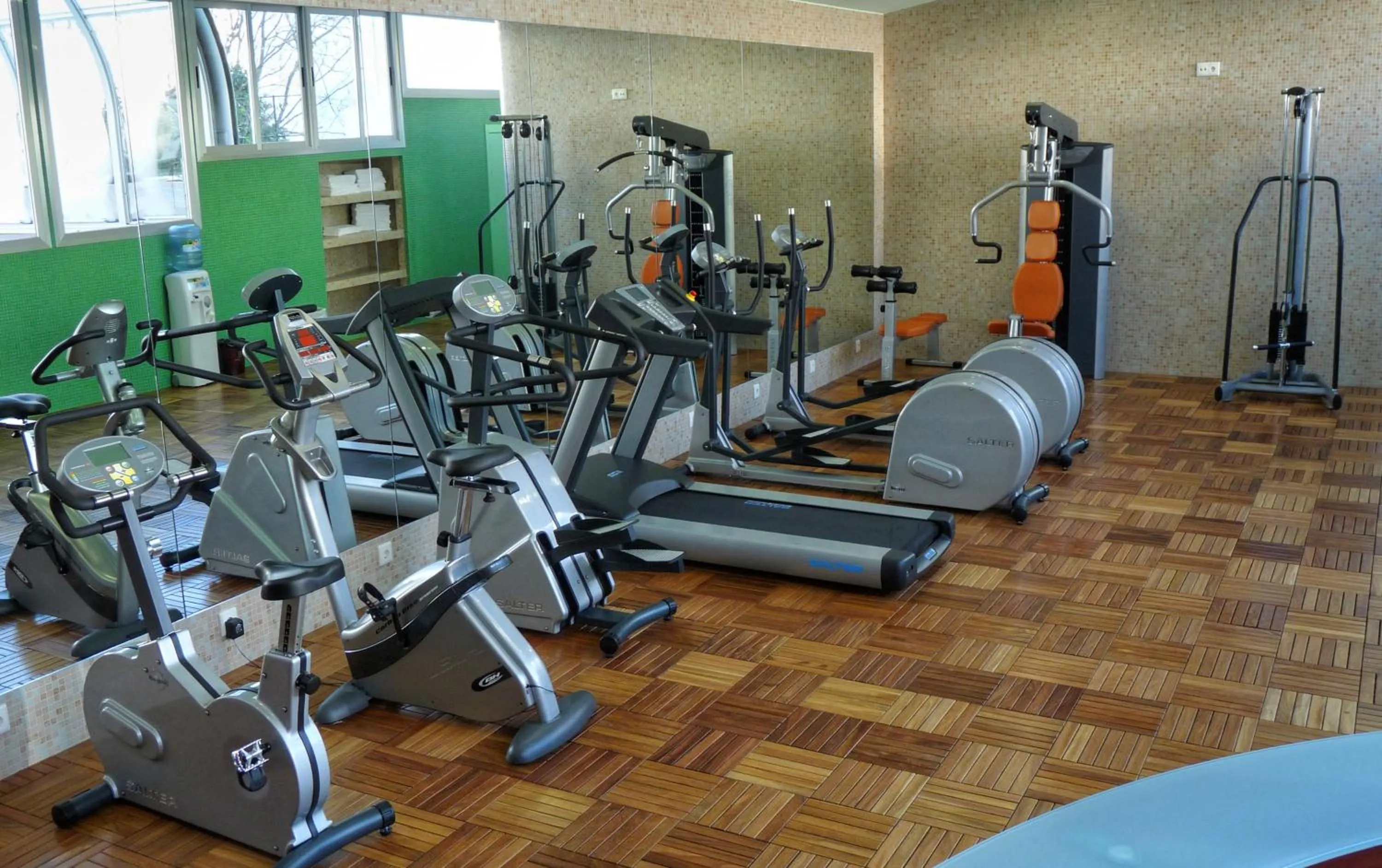 Fitness centre/facilities in Sercotel Guadiana