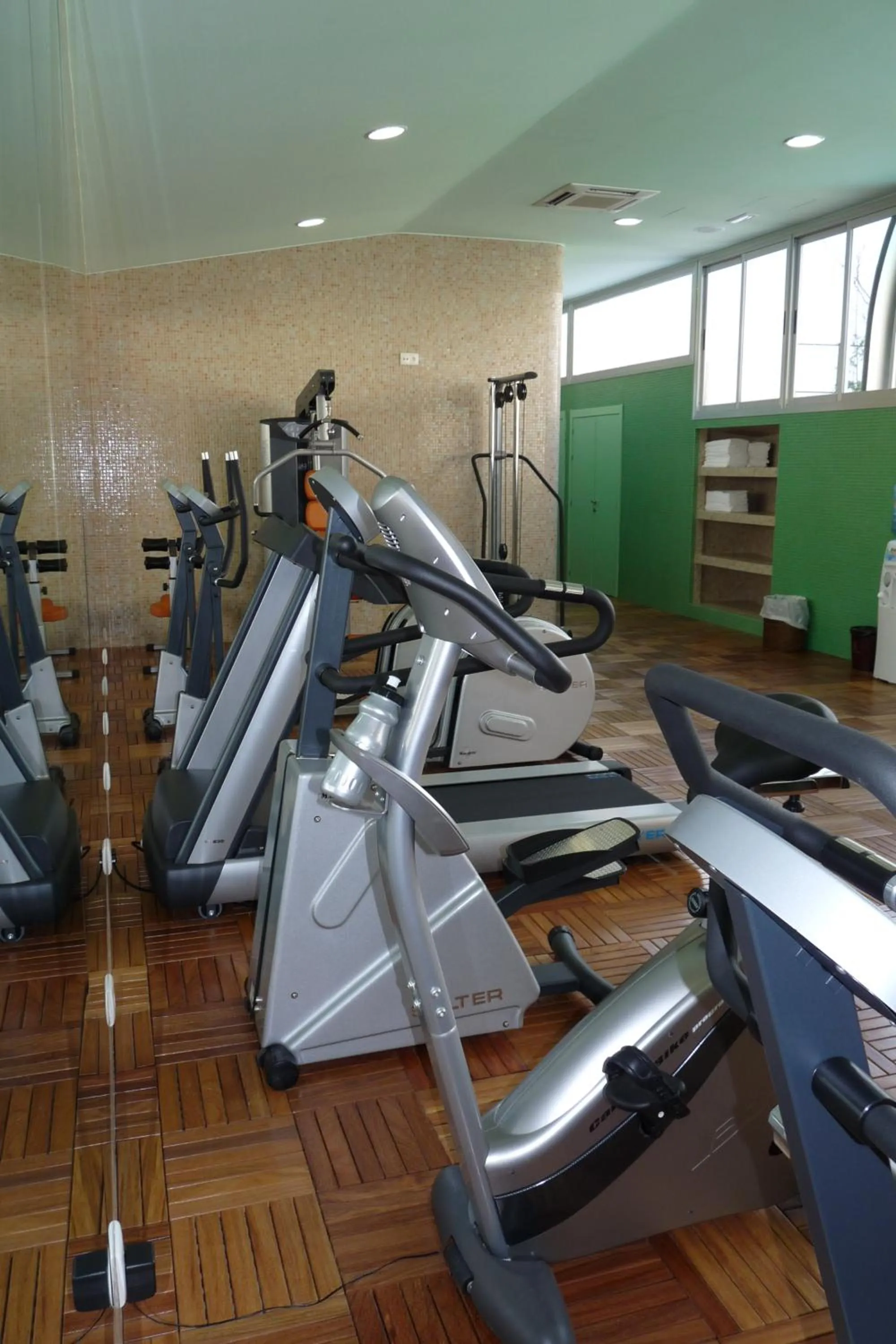Fitness centre/facilities in Sercotel Guadiana