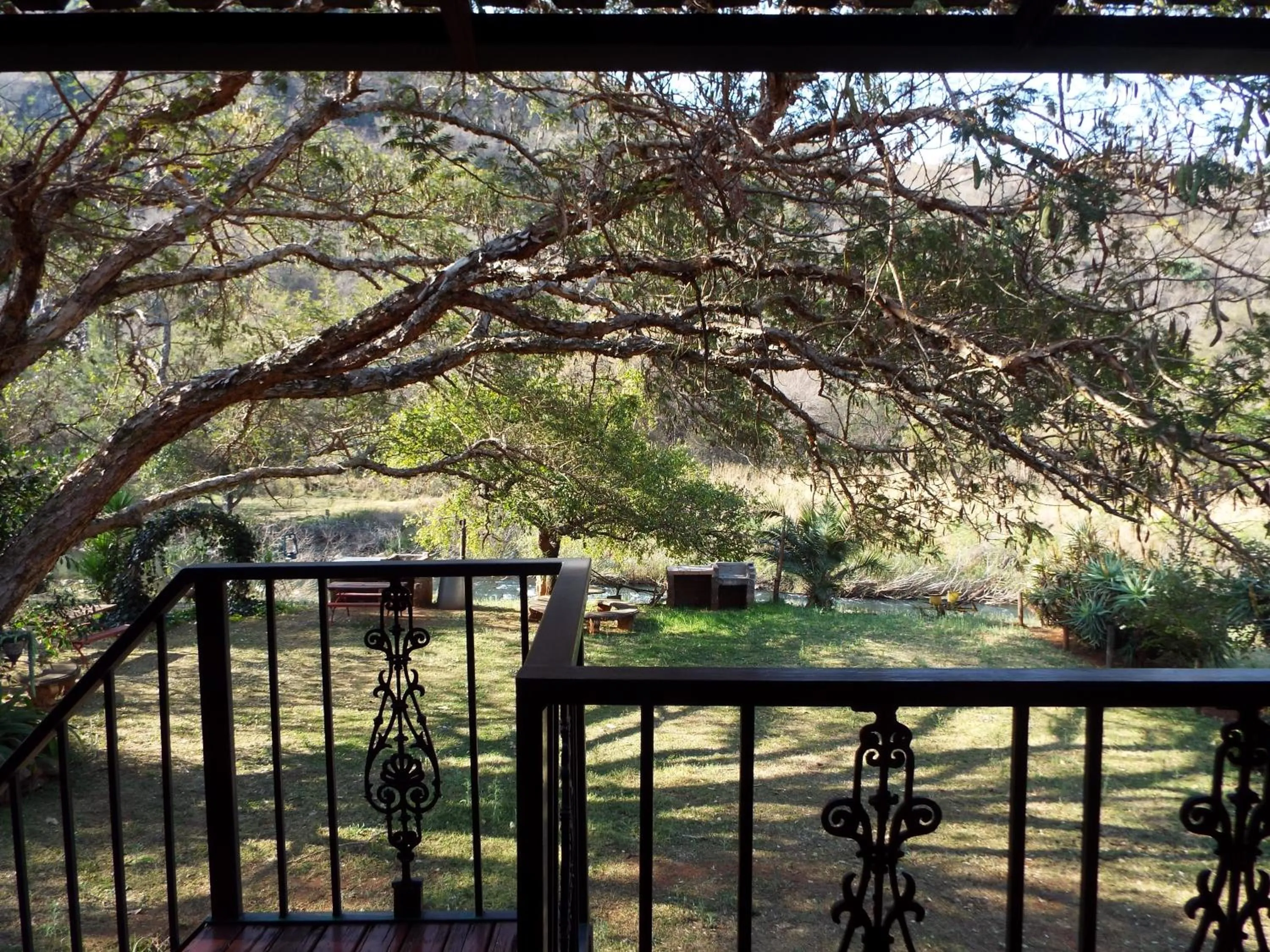 Natural landscape in Aloes Country Inn