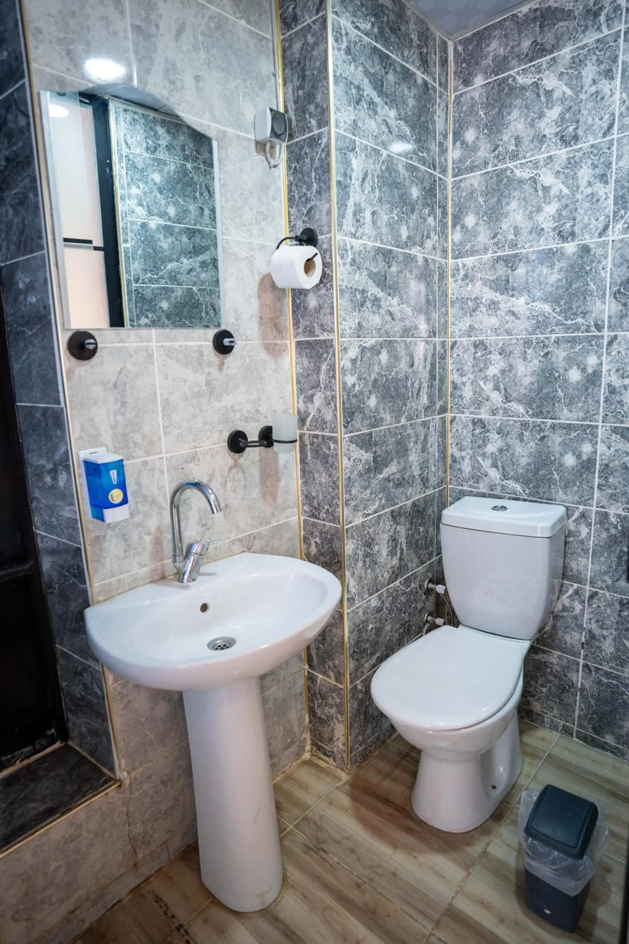 Toilet in Sarmaşık Otel