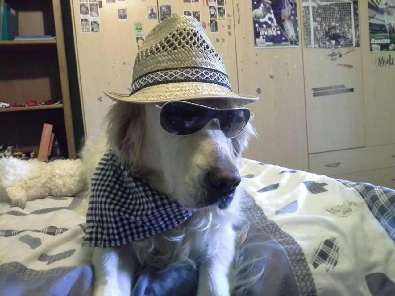 Beautiful Lux apartment chianti firenze area Italy