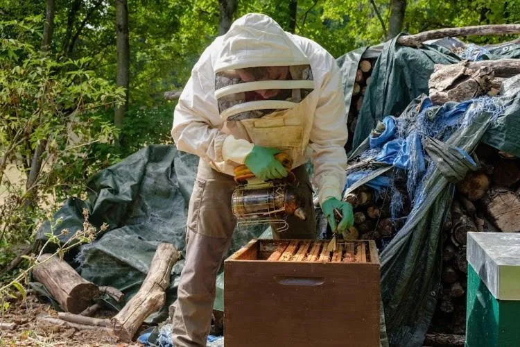 CÔTE GARONNE le BALCON DES DAMES -hôtel et restaurant- Tonneins Fauillet Marmande - vue panoramique bord de Garonne chambres climatisées
