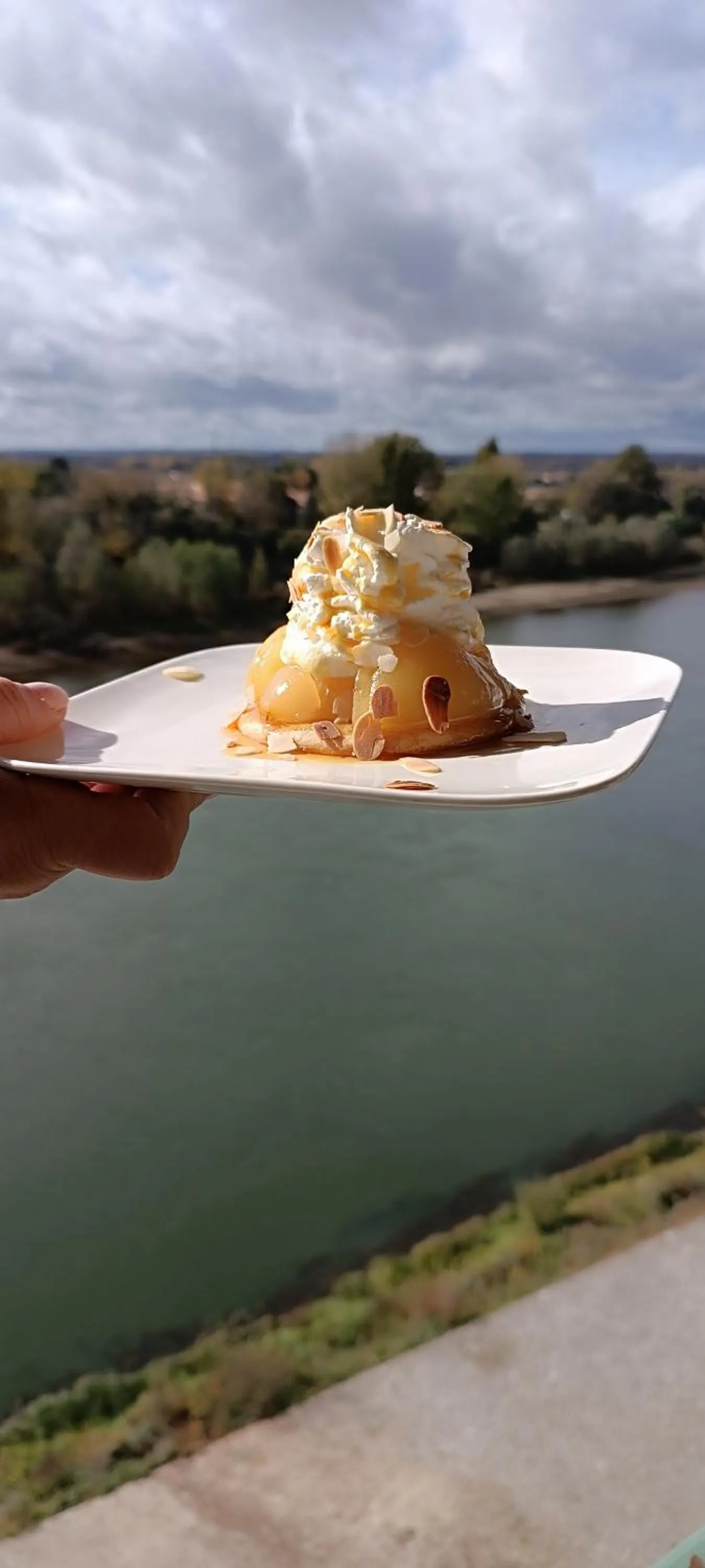 CÔTE GARONNE le BALCON DES DAMES -hôtel et restaurant- Tonneins Fauillet Marmande - vue panoramique bord de Garonne chambres climatisées