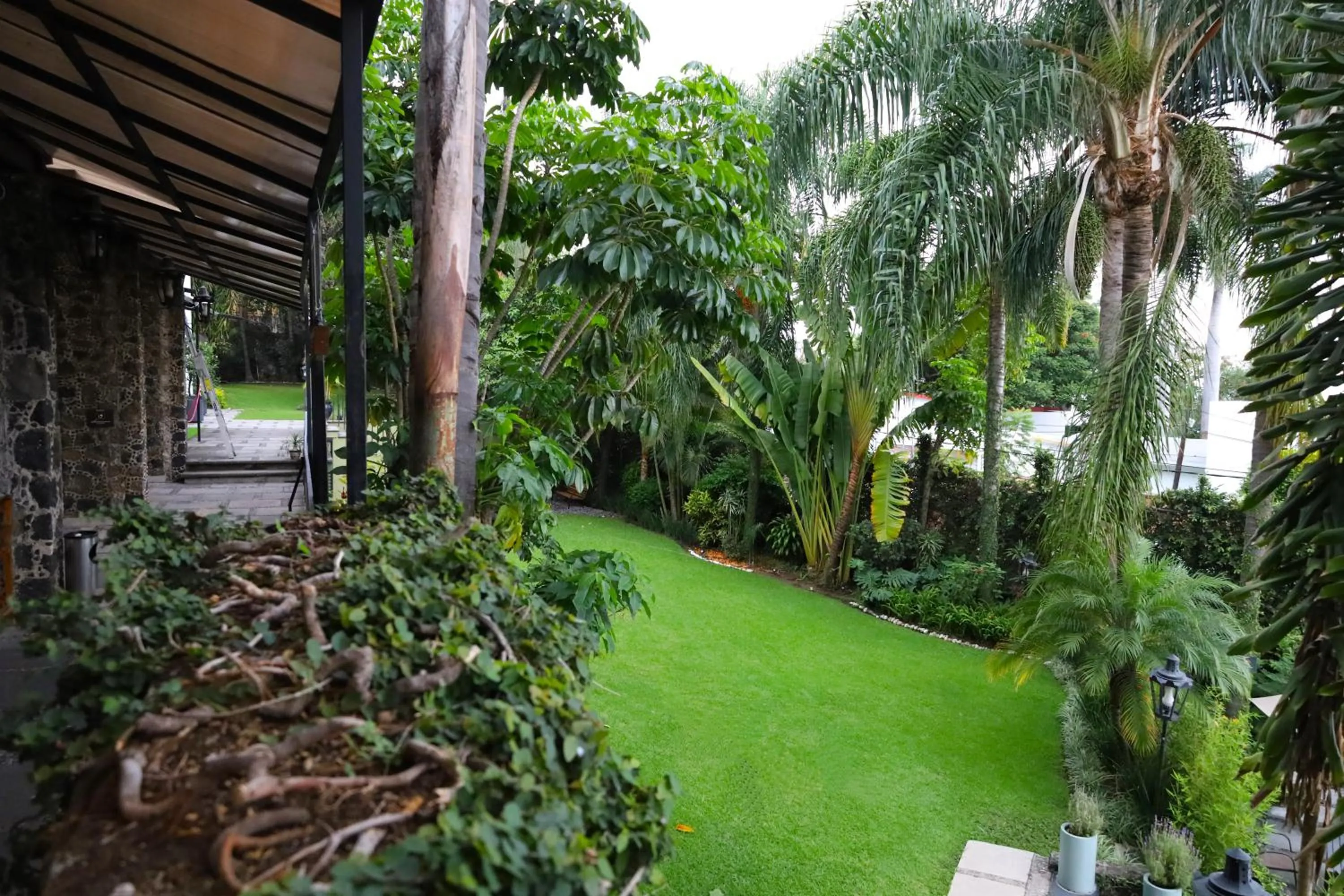 Garden in Hotel Grand Vista Cuernavaca