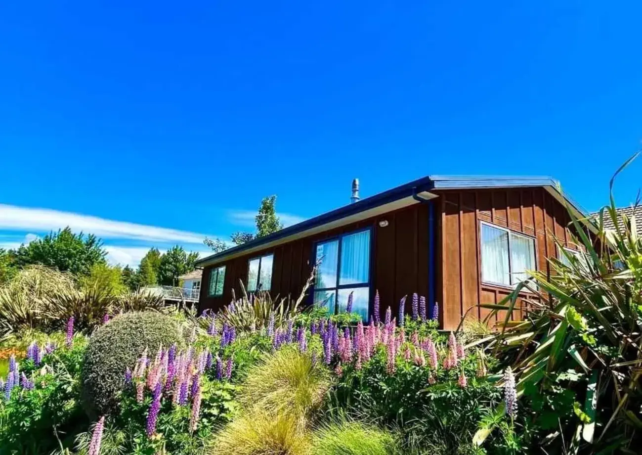 Twin Stars Twin Stars