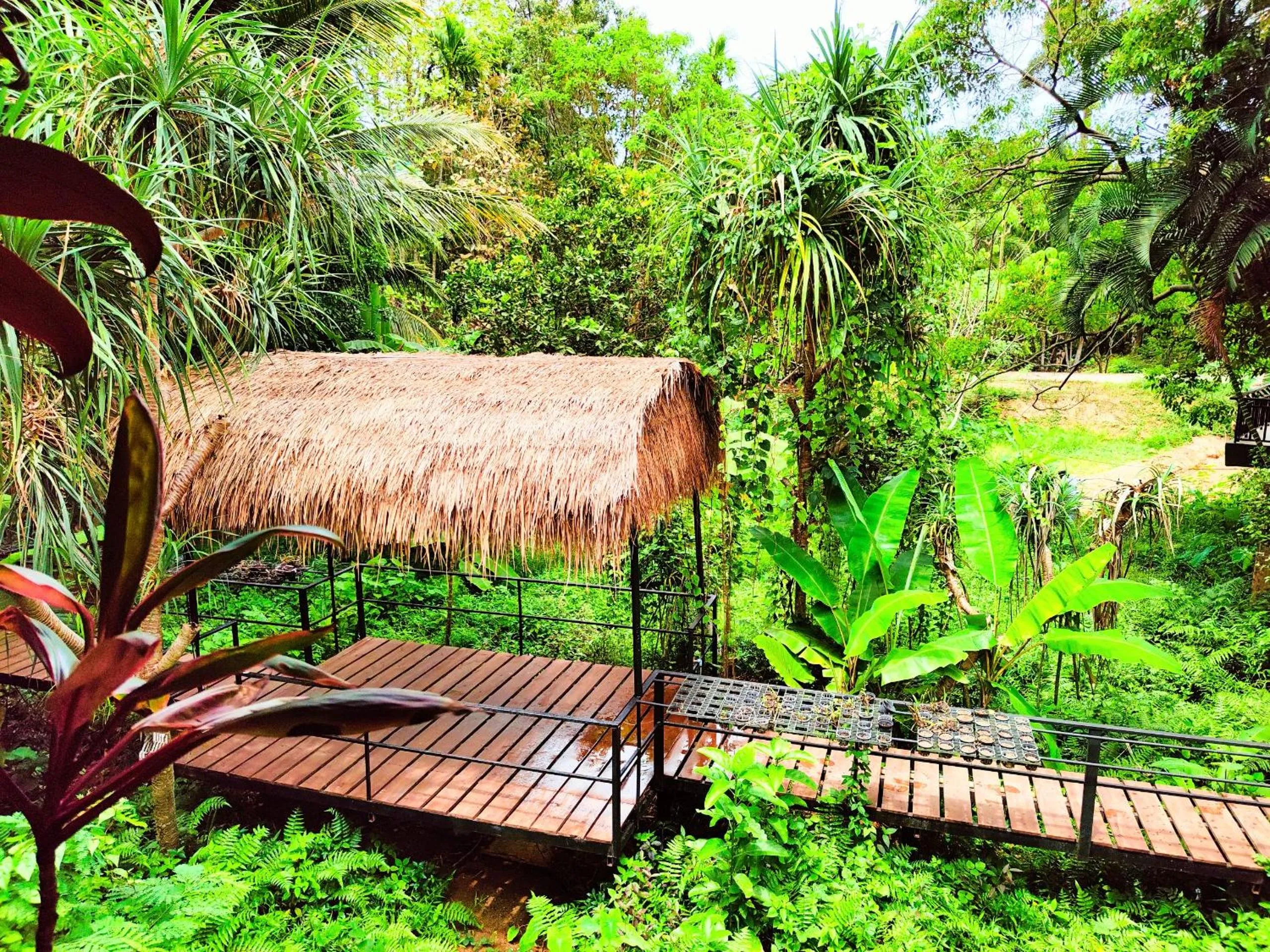 Phuket Jungle Experience Resort