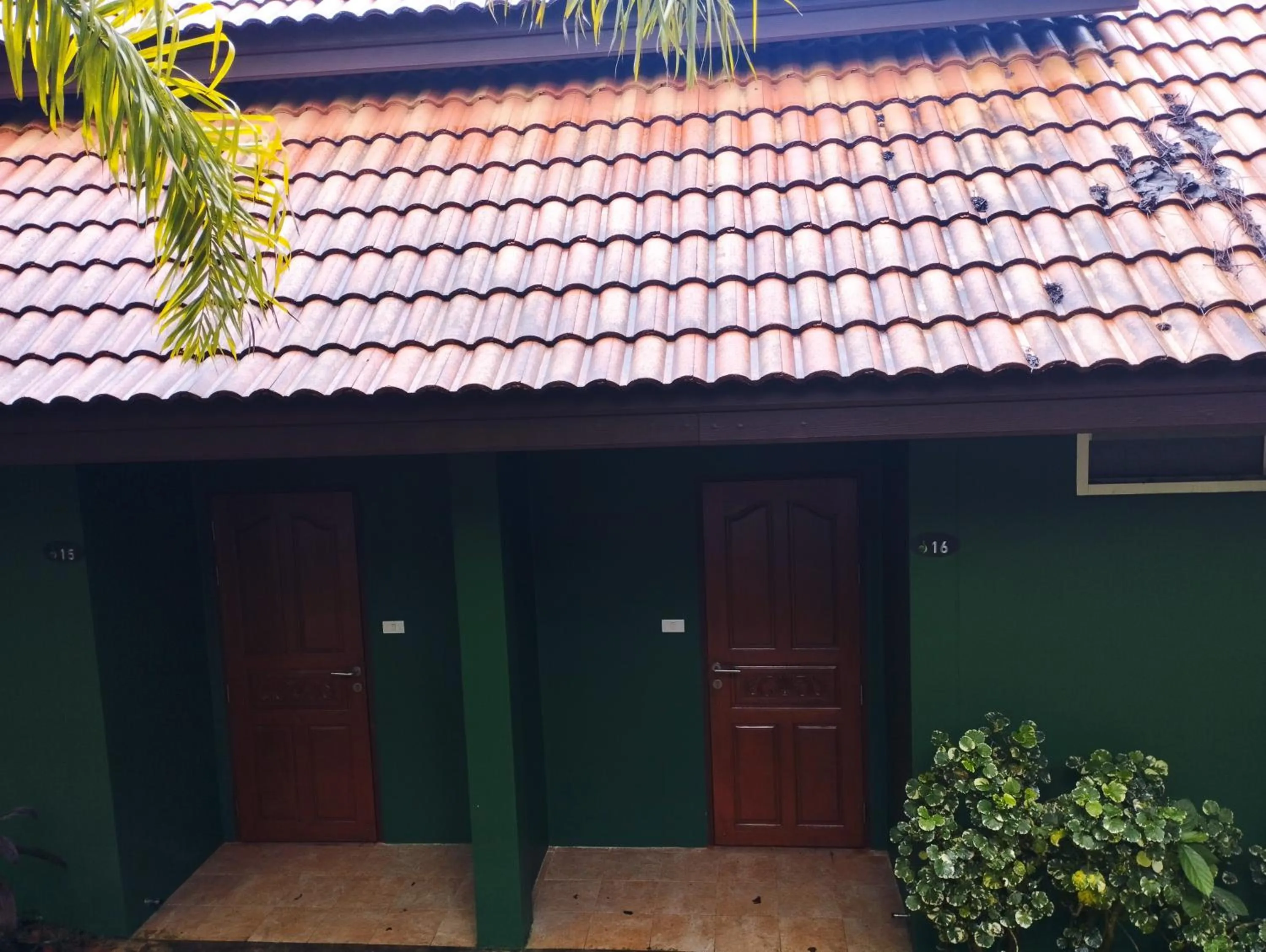 Phuket Jungle Experience Resort