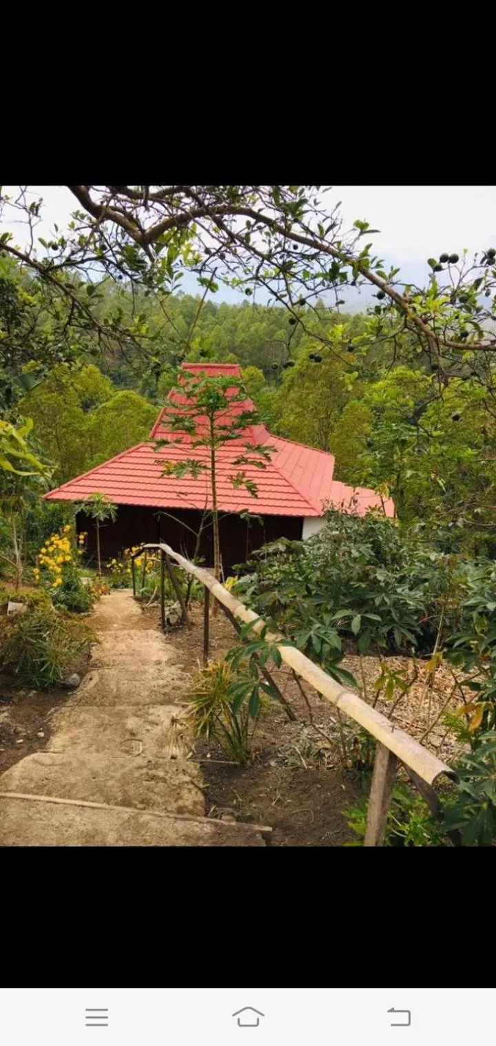 Home stay wolokoro ecotourism