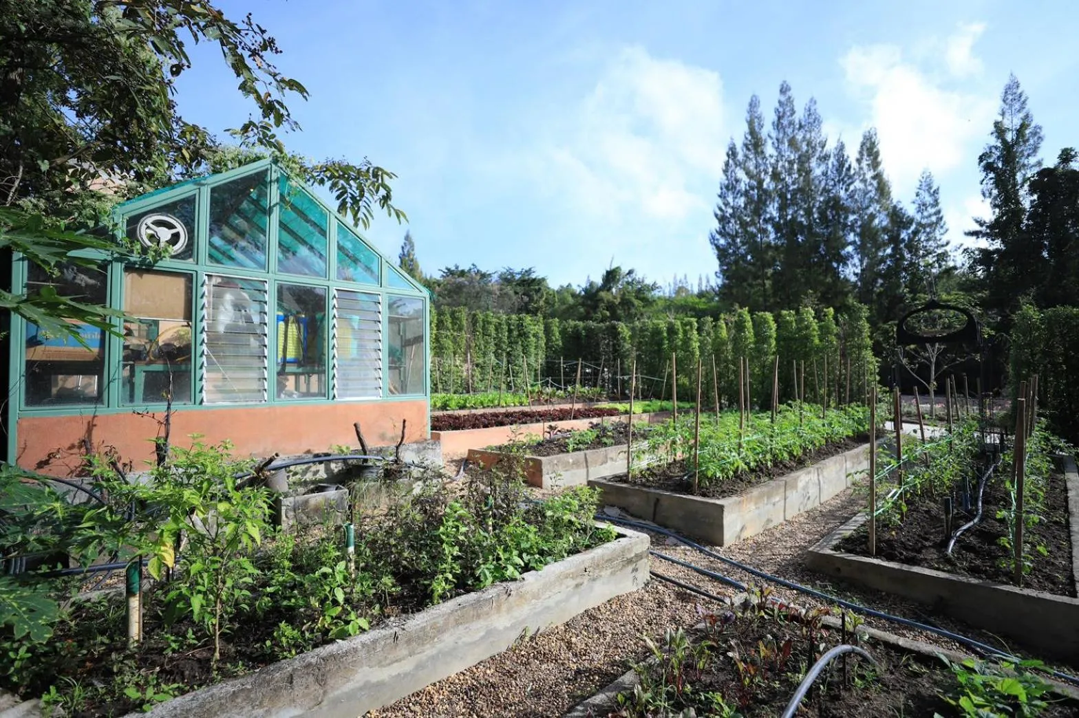 Garden in Moon River Village