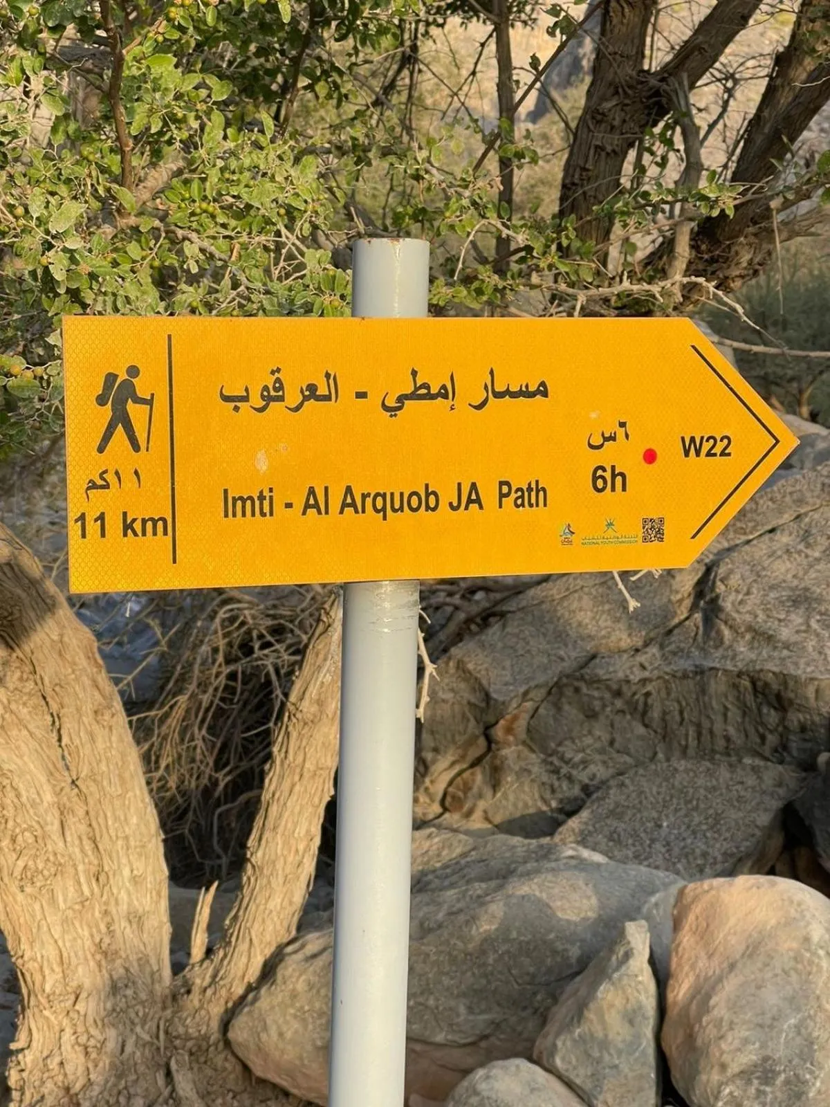 Hiking in Cloudy Cloud Farm Resort