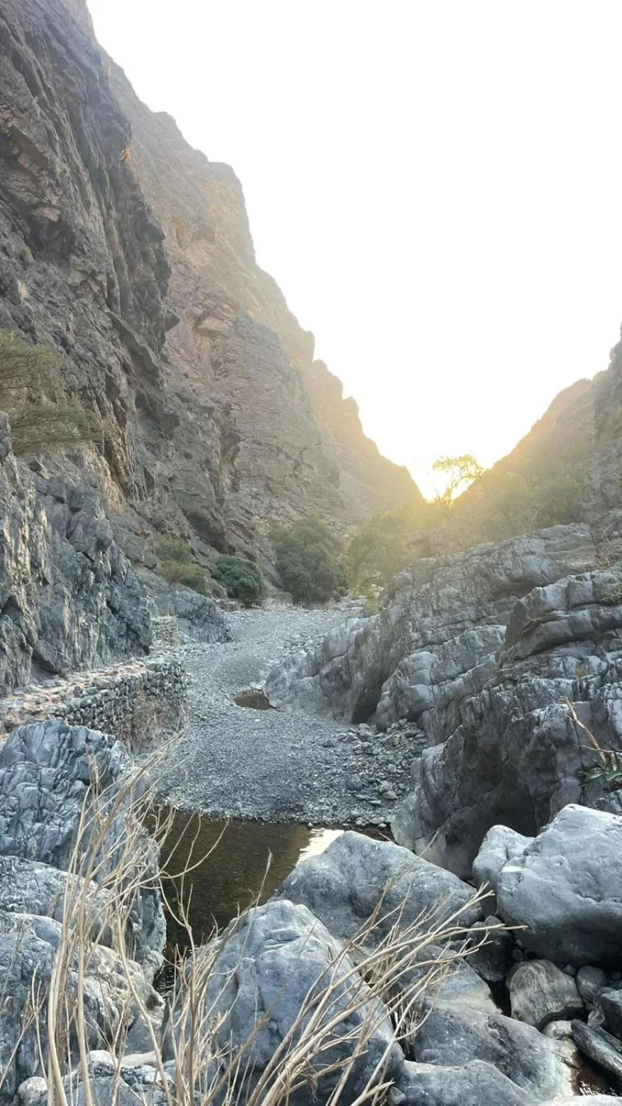 Hiking in Cloudy Cloud Farm Resort