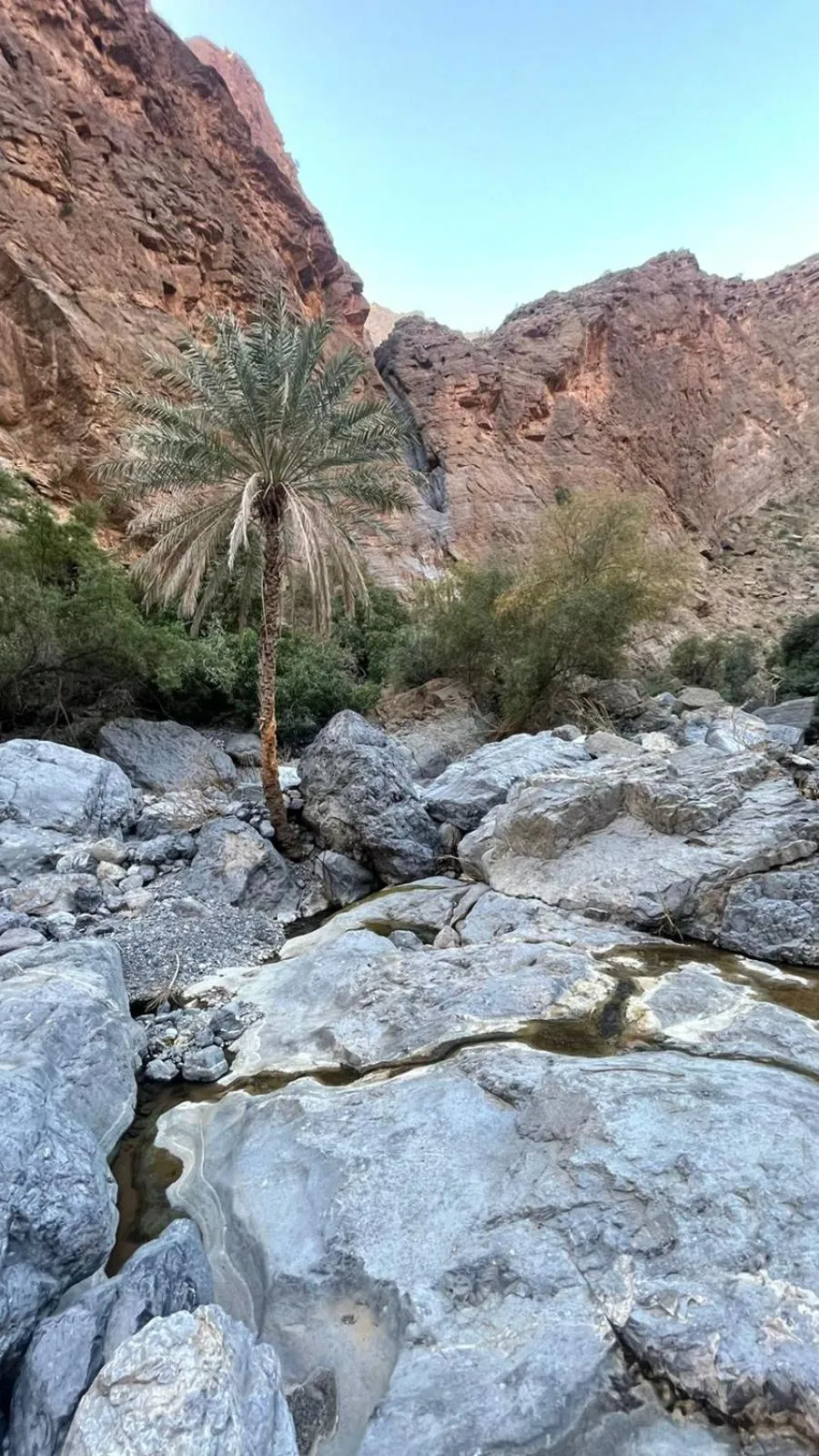 Hiking in Cloudy Cloud Farm Resort