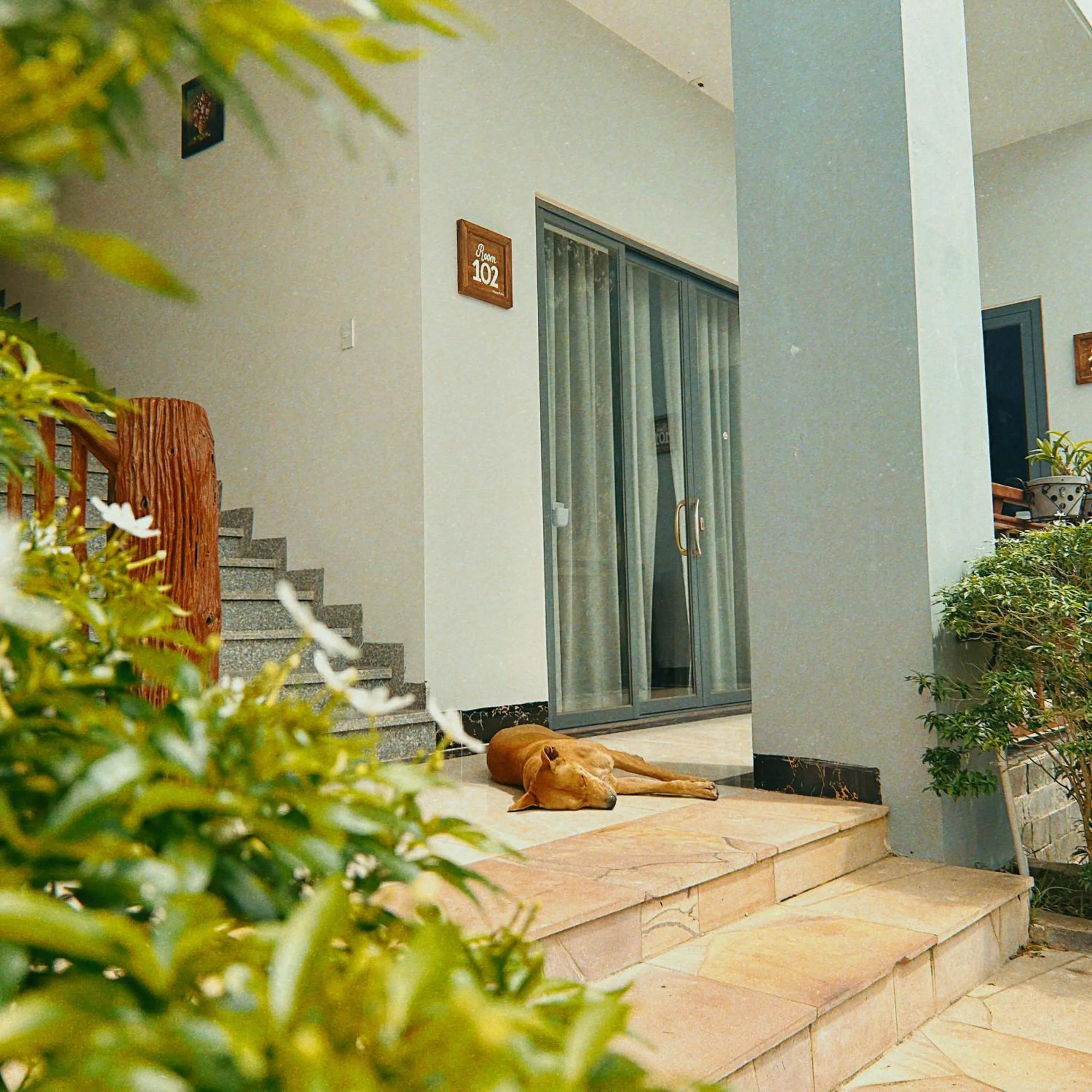 Voyage Phu Quoc Beach Resort