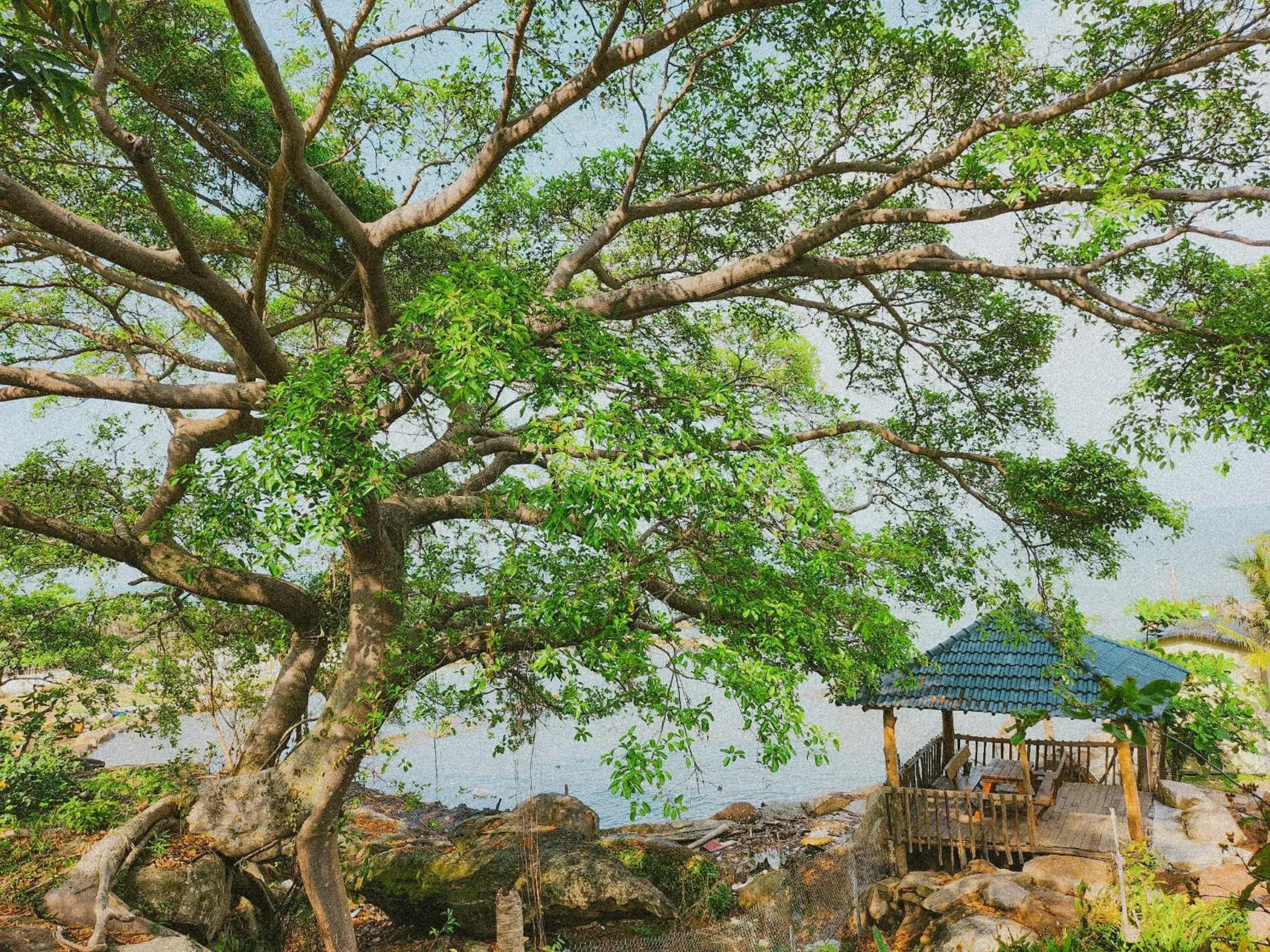 Deluxe Double Room with Shower in Voyage Phu Quoc Beach Resort Deluxe Double Room with Shower in Voyage Phu Quoc Beach Resort