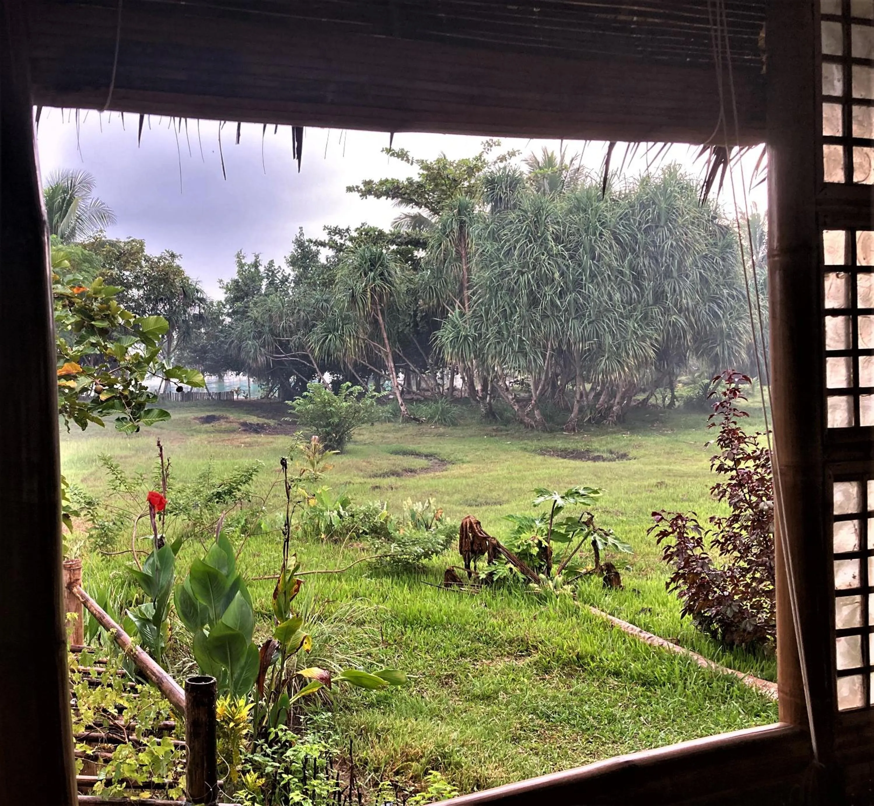 Restaurant/places to eat in The Lazy Tiki