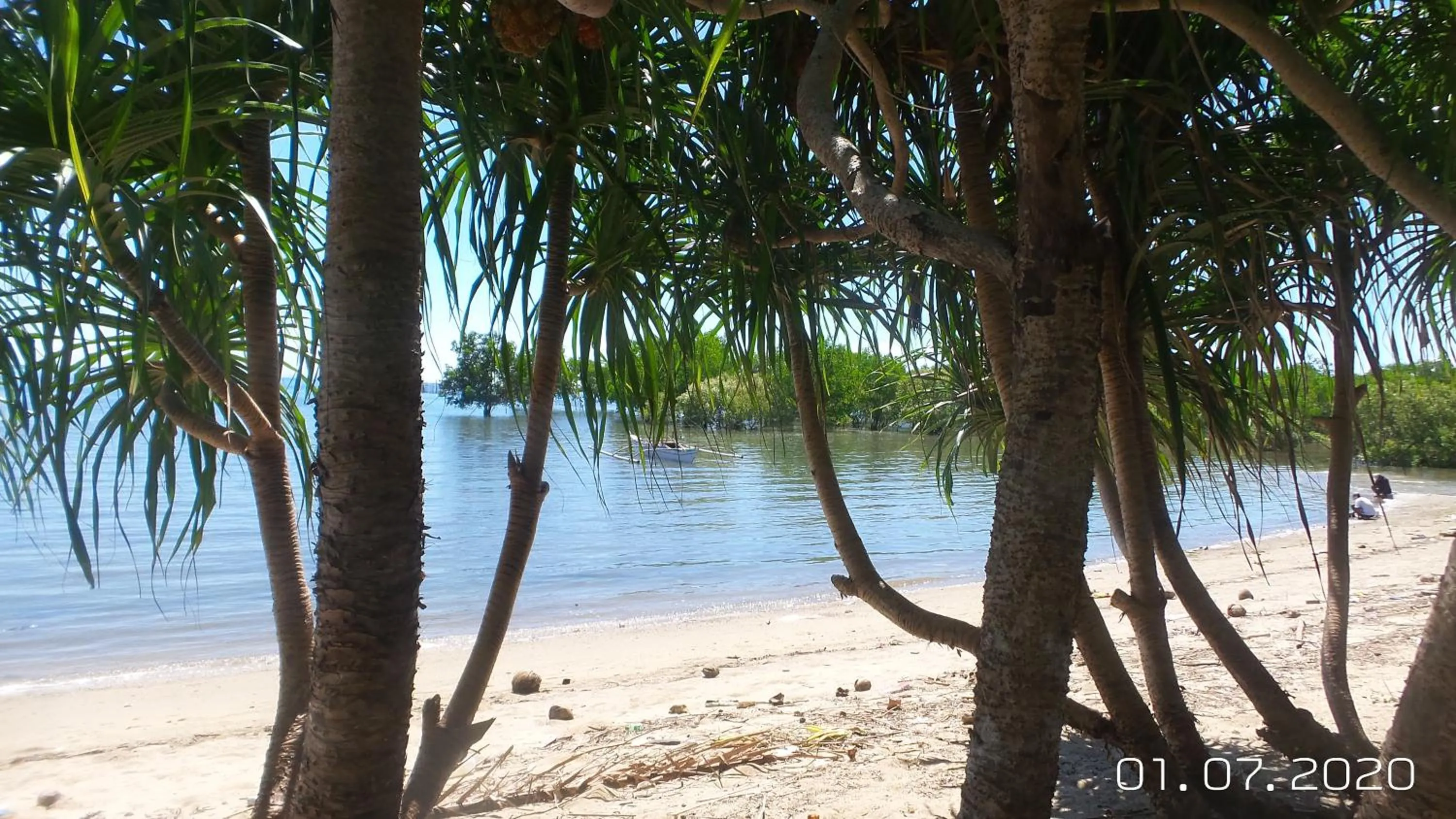 Beach in The Lazy Tiki