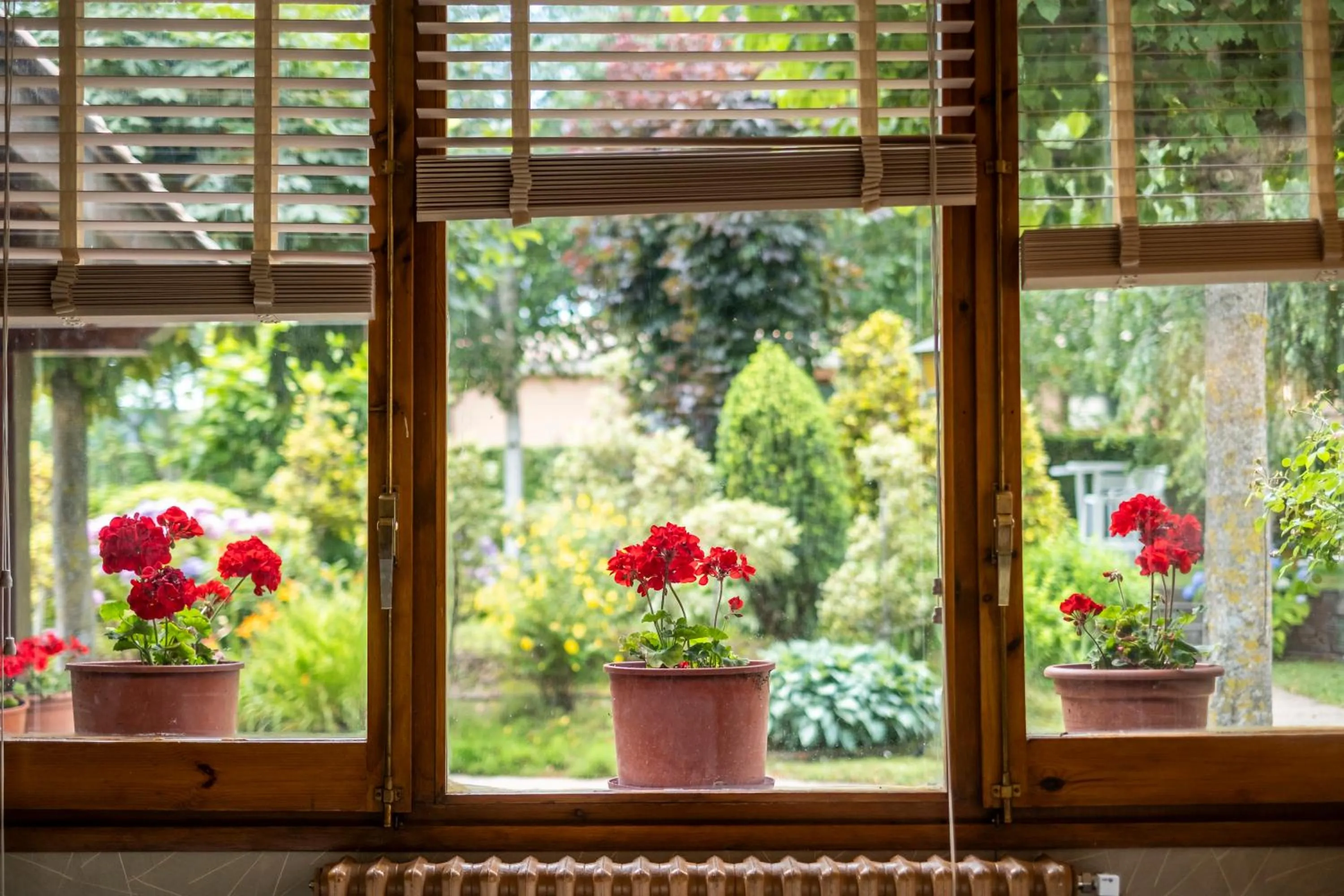 Garden in Hotel Calitxo