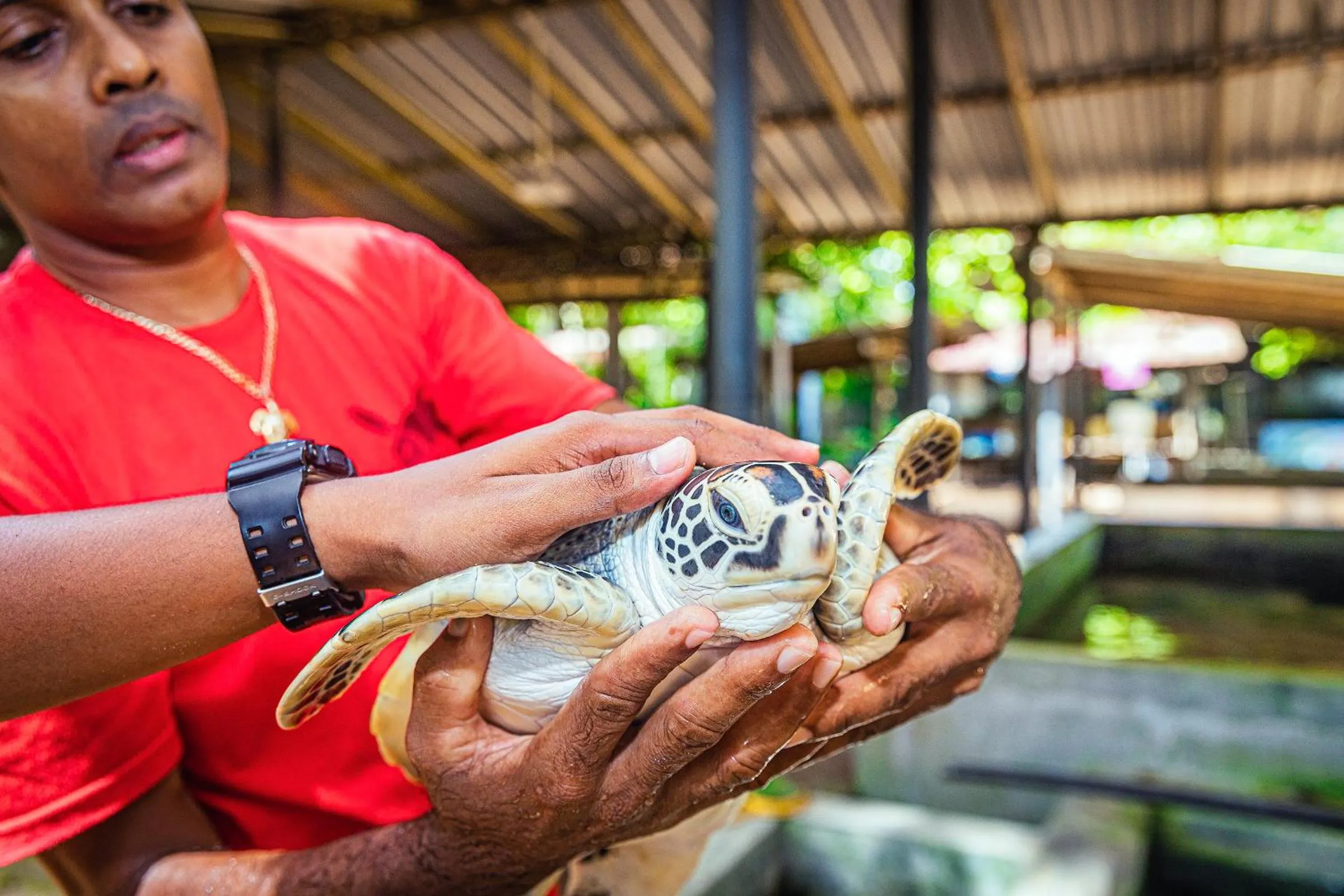 Activities in The Palace by Ocean