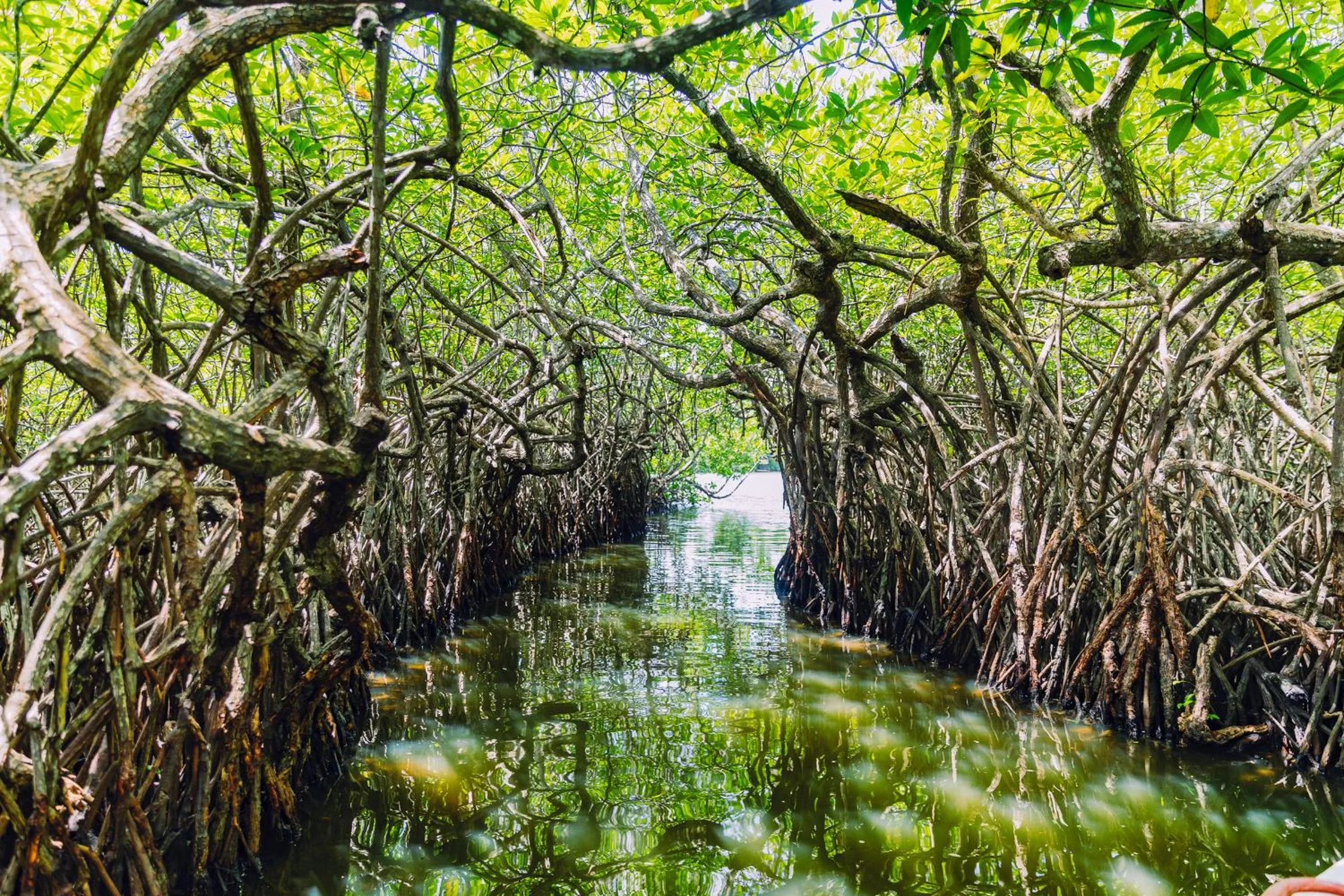 River view in The Palace by Ocean