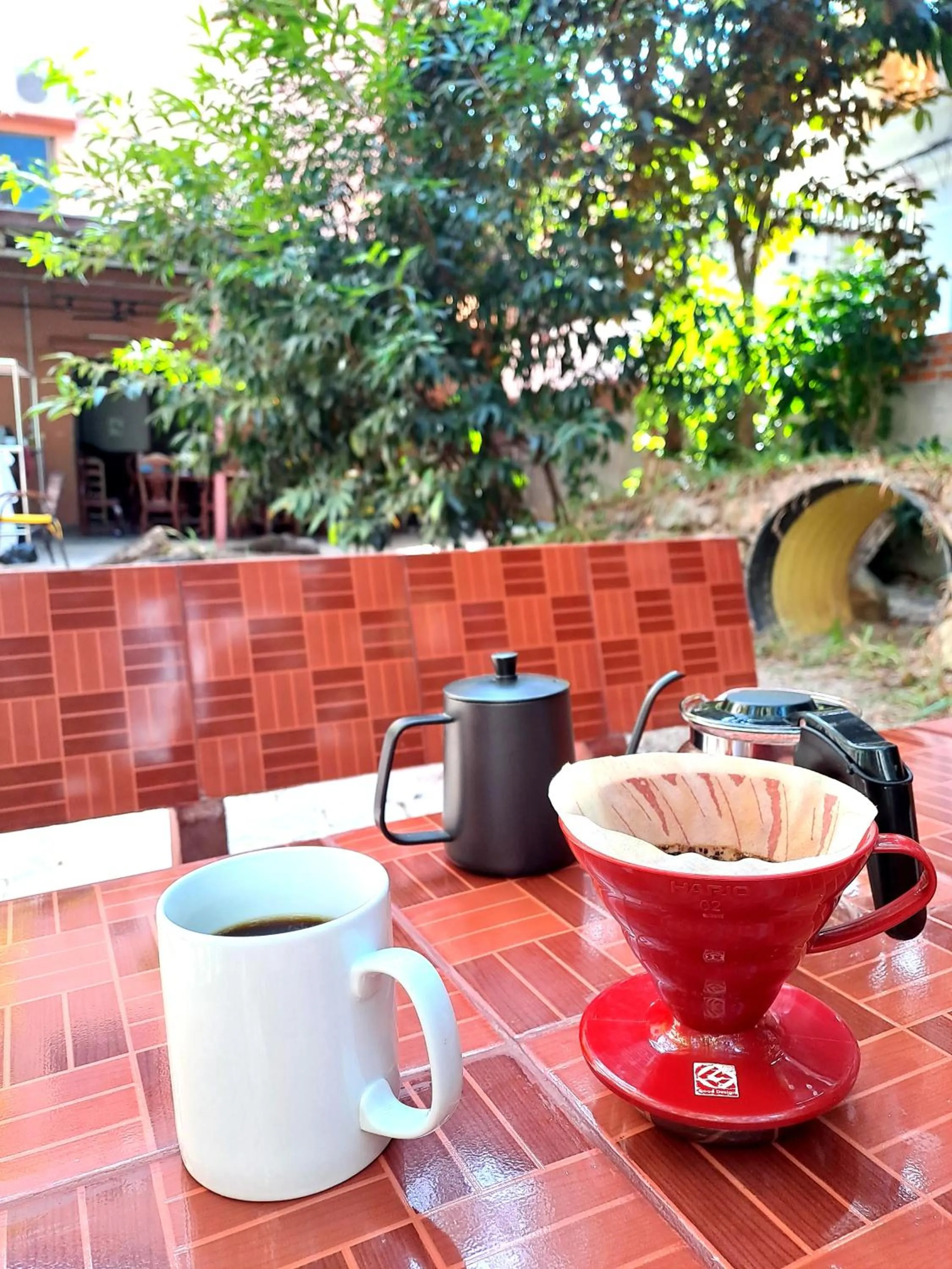 Garden in Makers Guesthouse