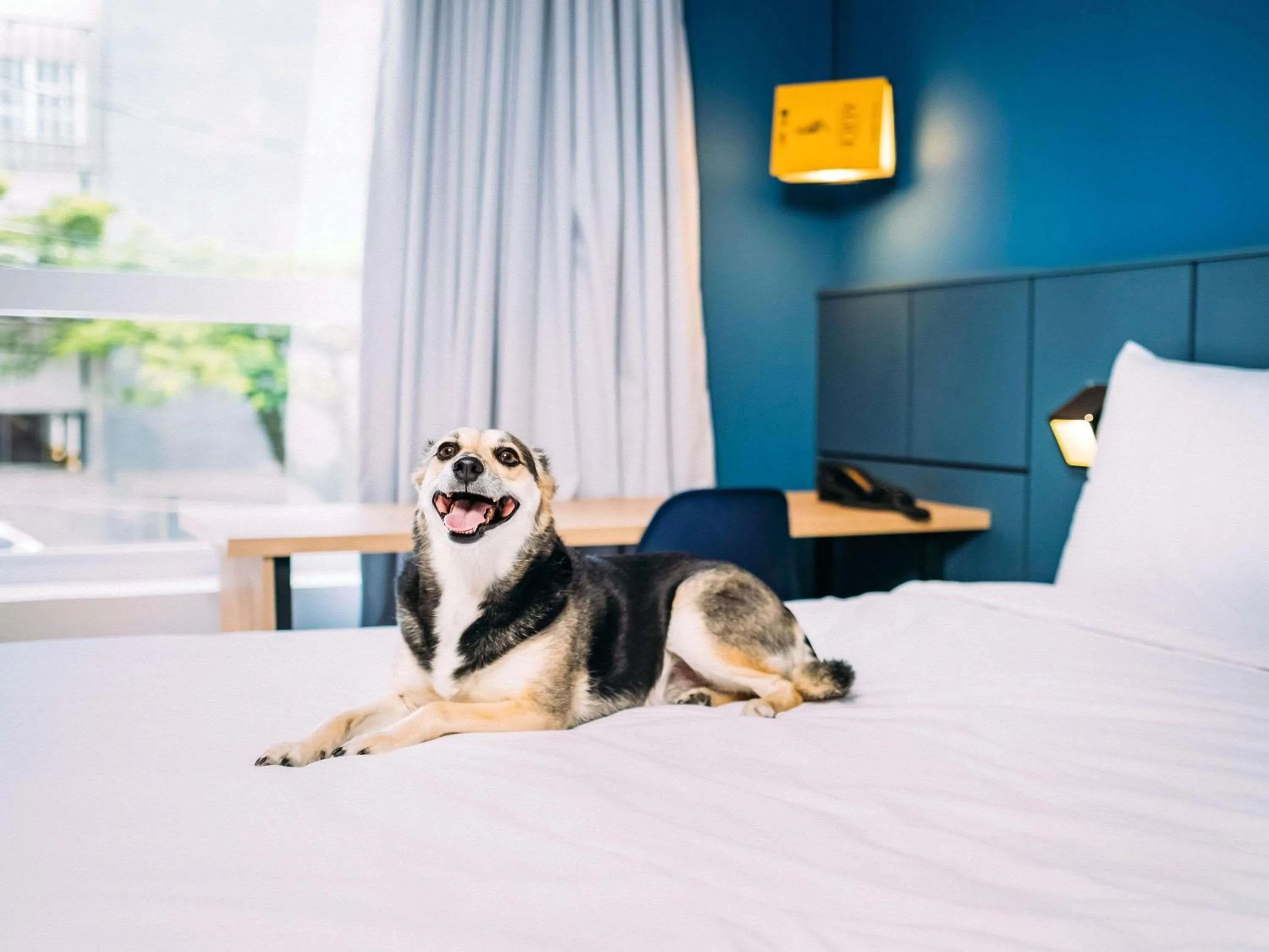 Bedroom, Bed in ibis Styles Poços de Caldas