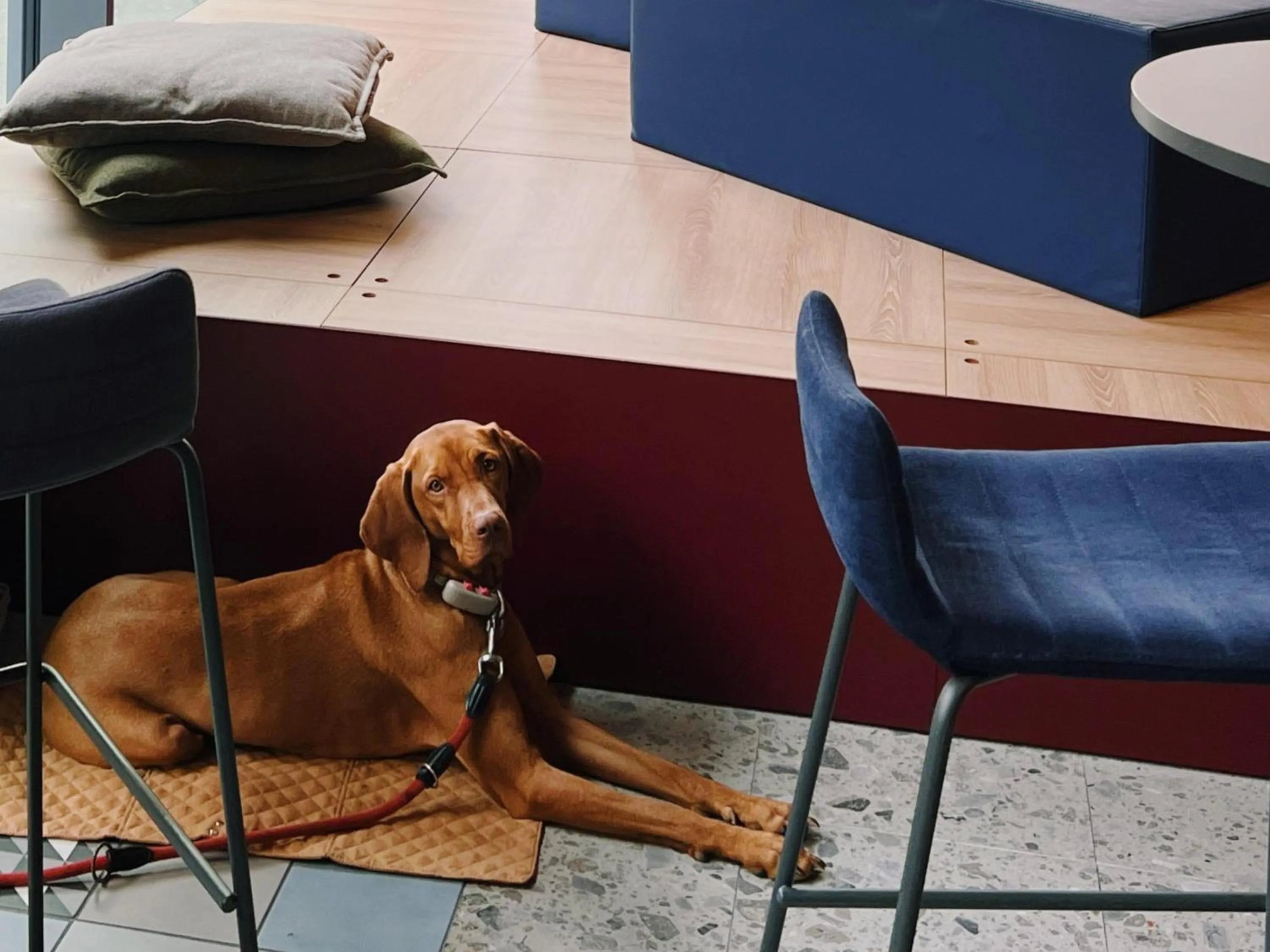 Seating area in 21 House of Stories Navigli