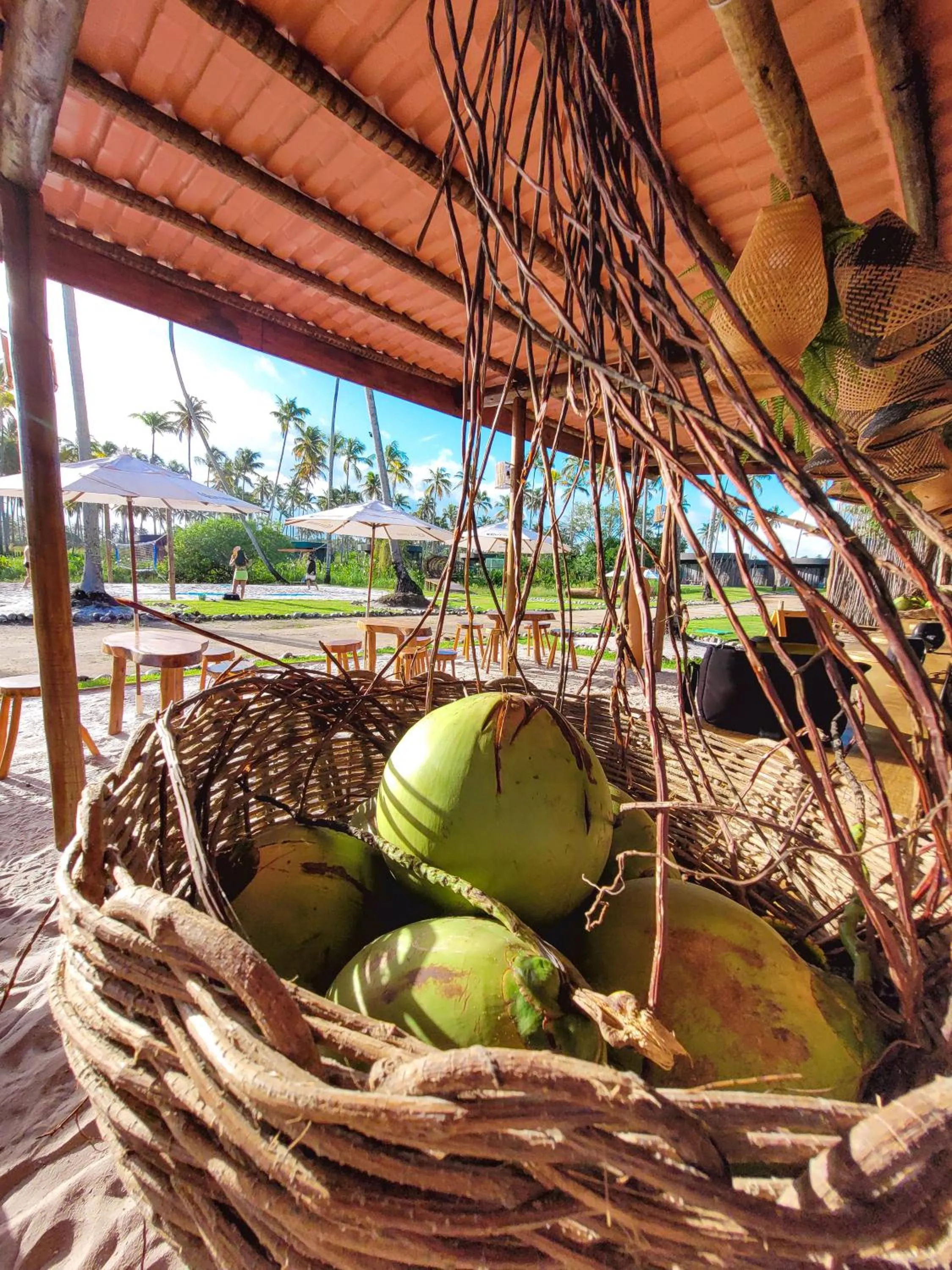 Day in Taboo Milagres