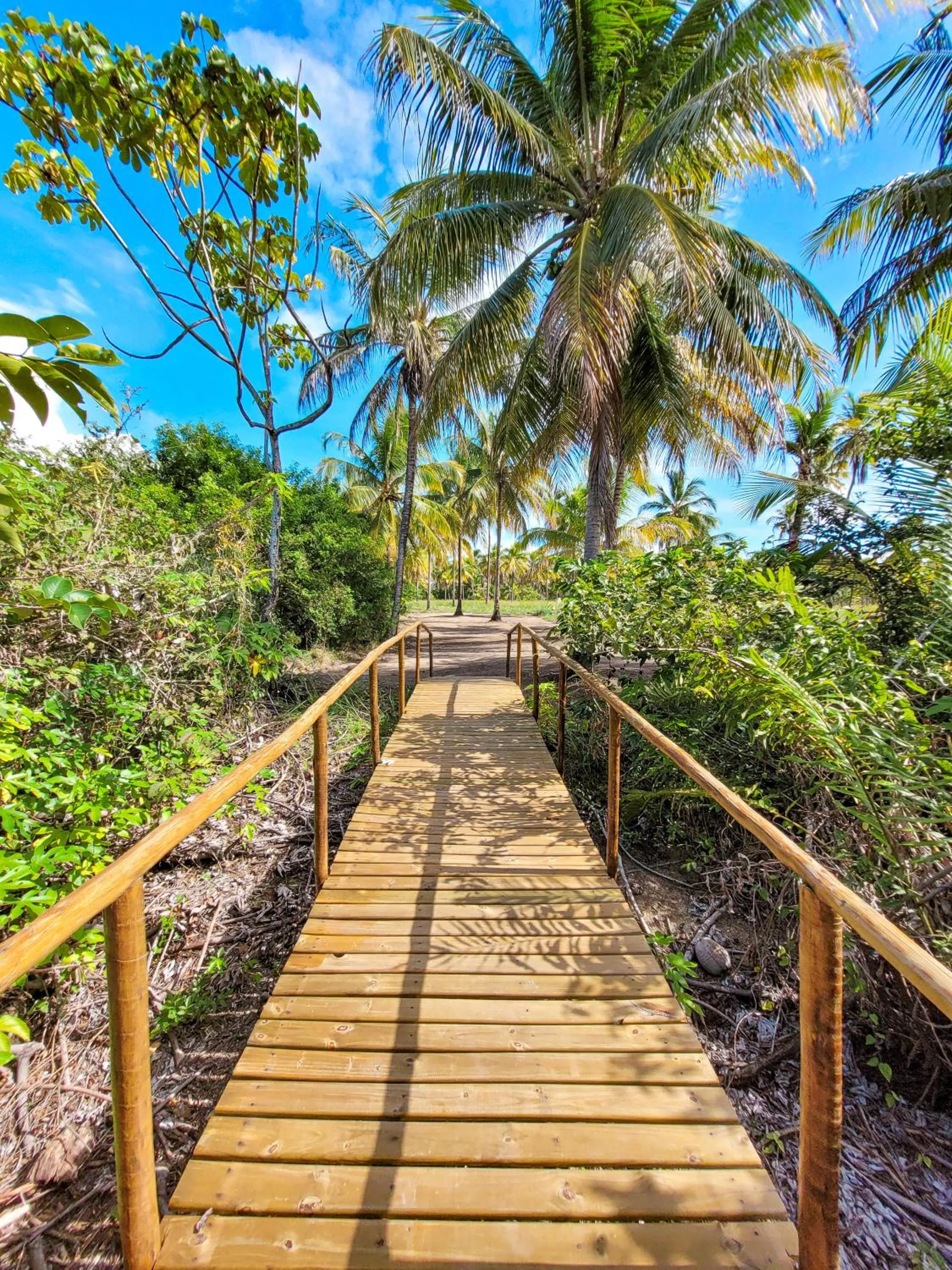 Natural landscape in Taboo Milagres