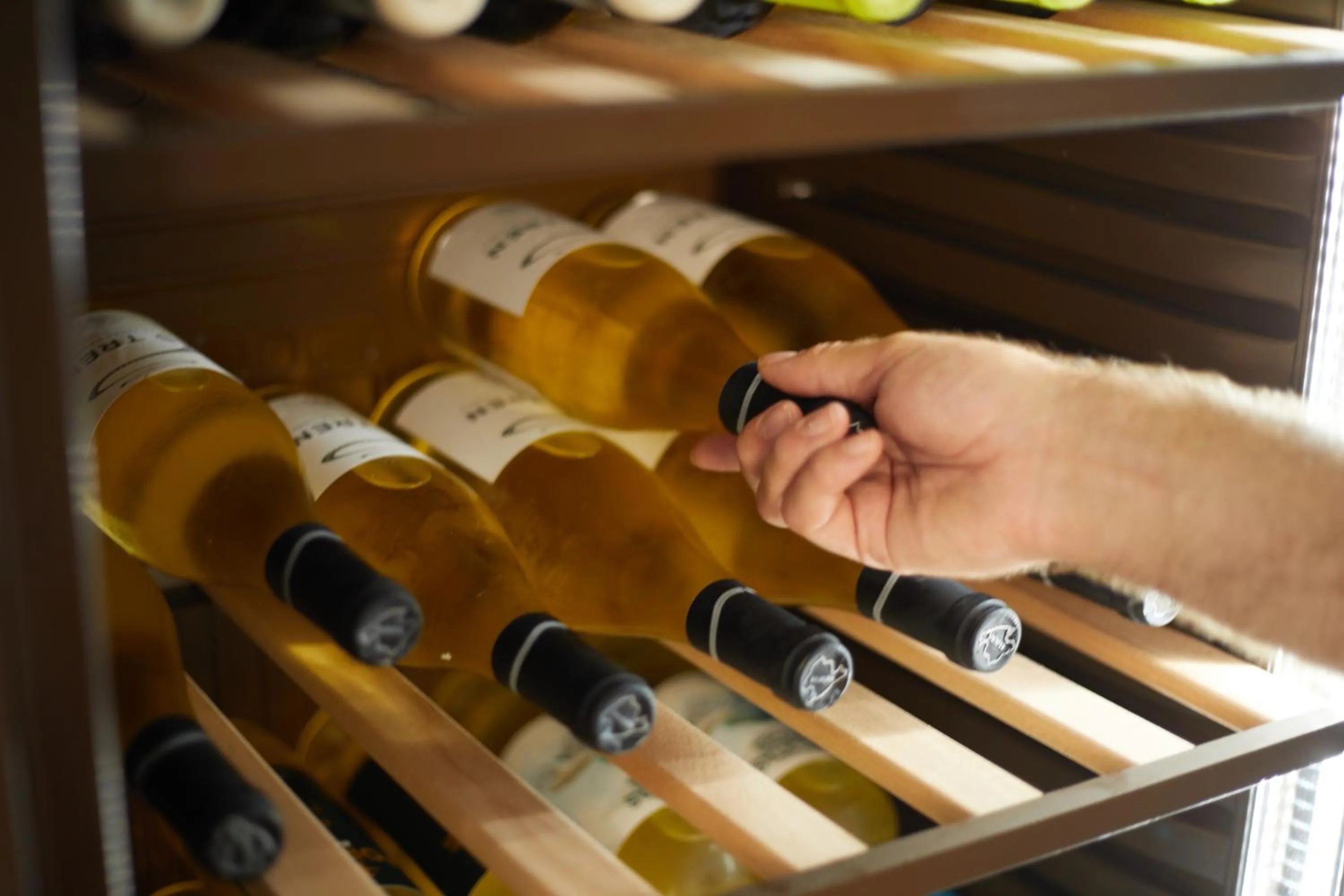 Drinks in JS Paradise Sport - Adults Only