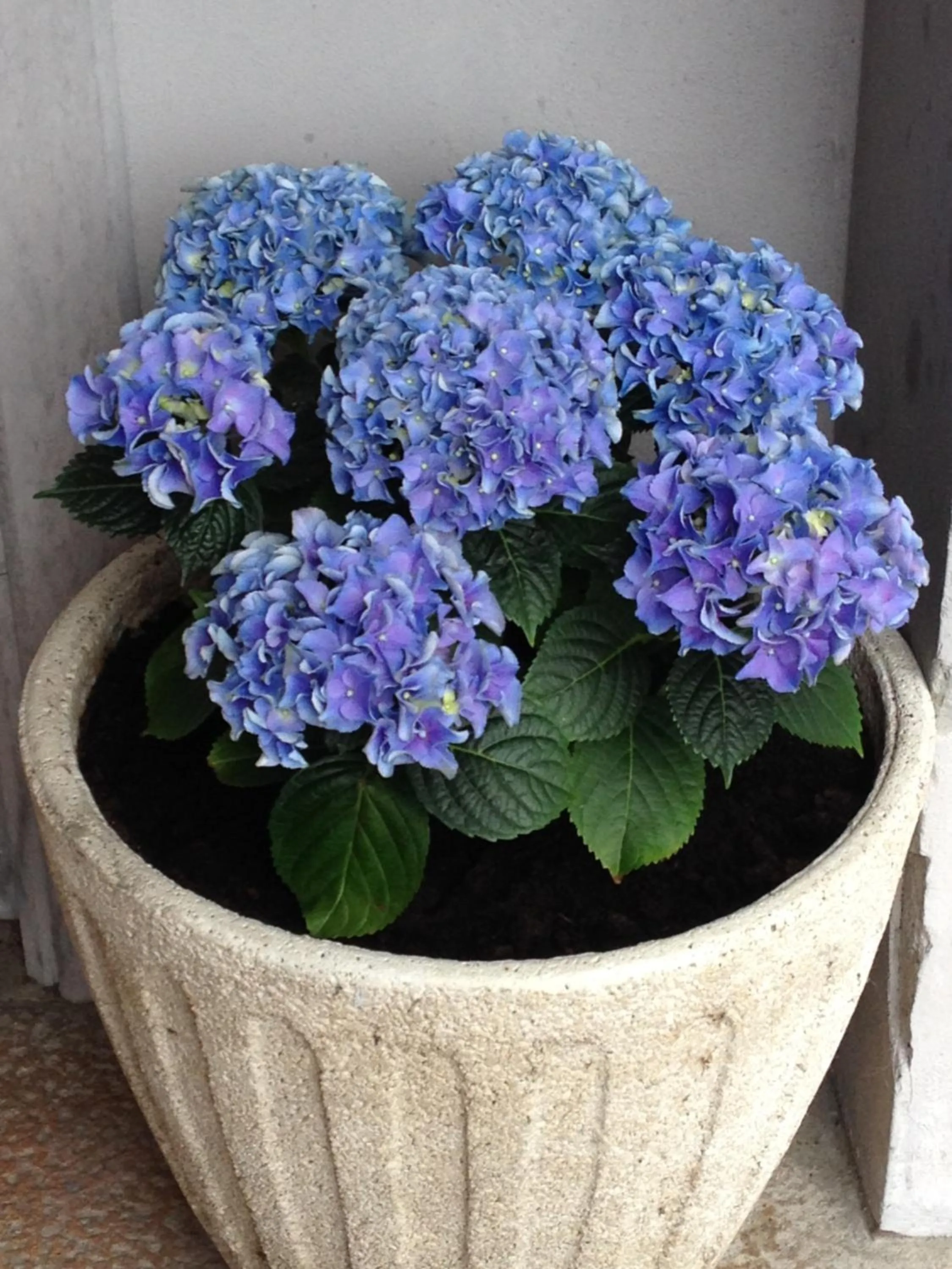 Lobby or reception in Hotel Nochendi