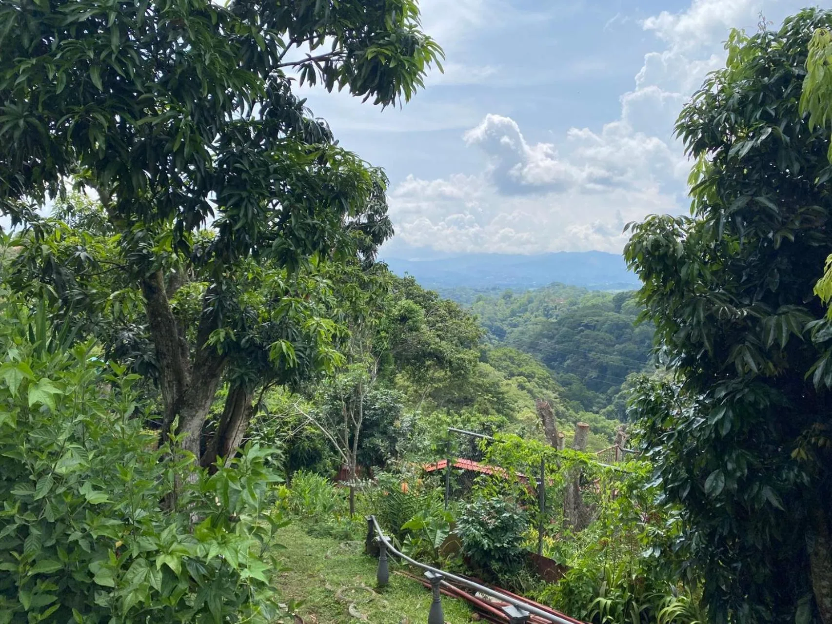 Day in Villa Garita Inn