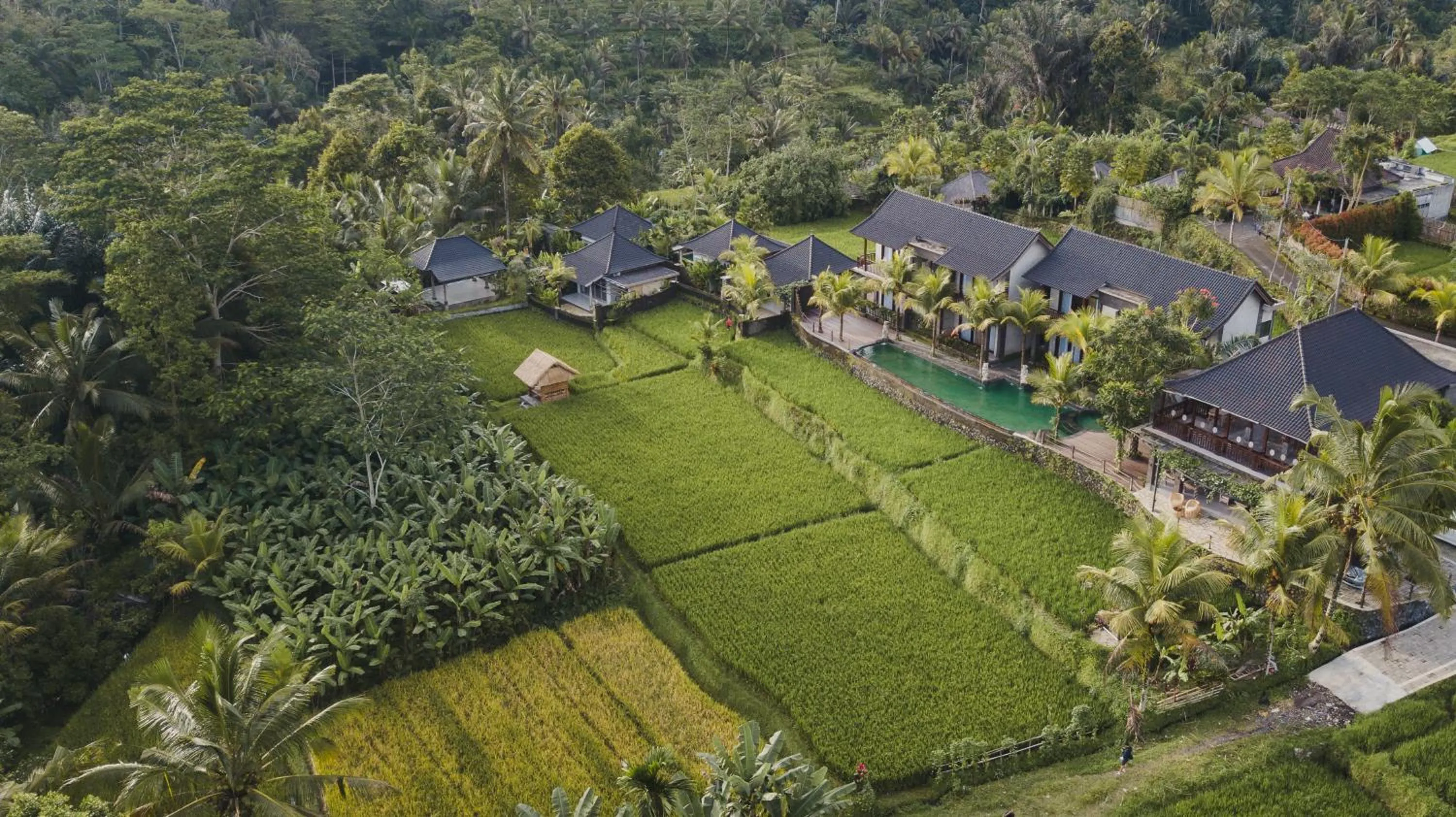 Bird's eye view in Pinggala Villa Ubud