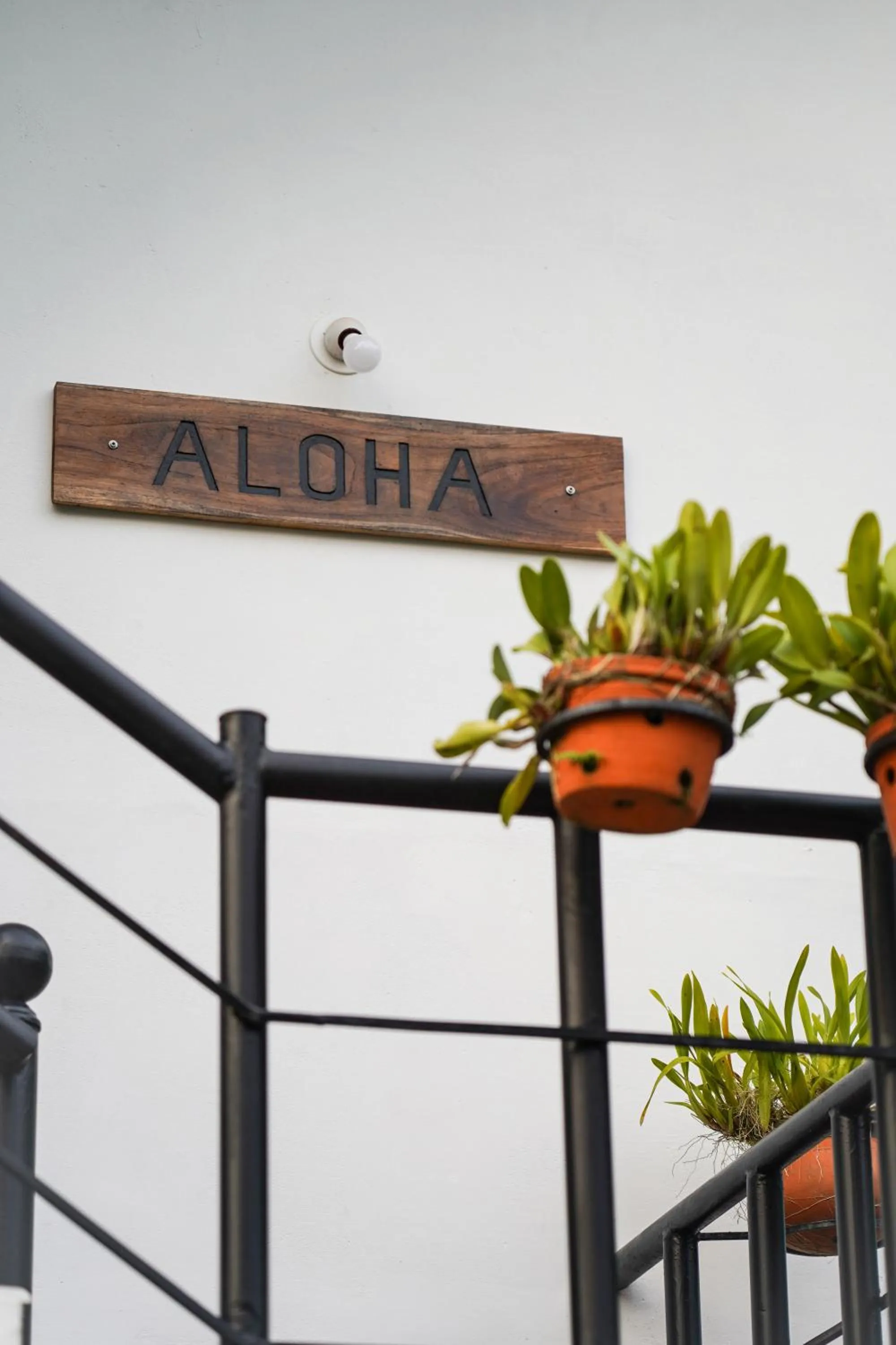 Logo/Certificate/Sign in Aloha Homestay