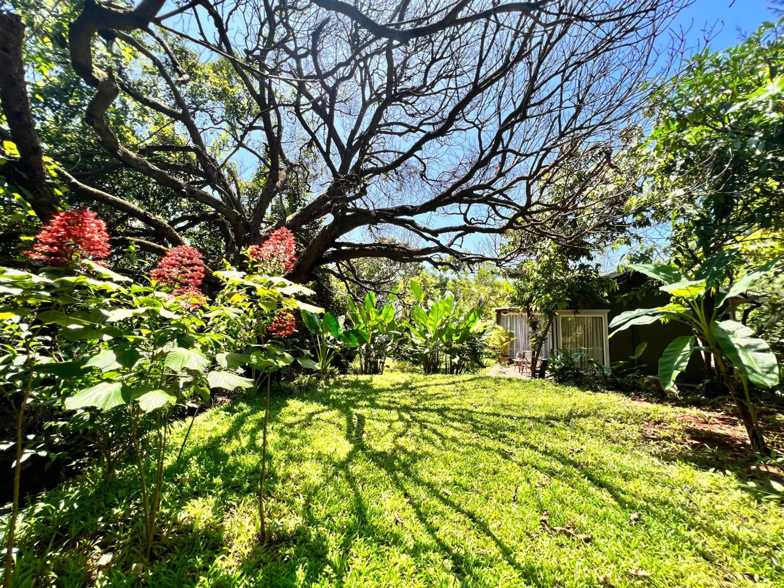 Natural landscape in LaRiSa Resort & Spa, Ashwem