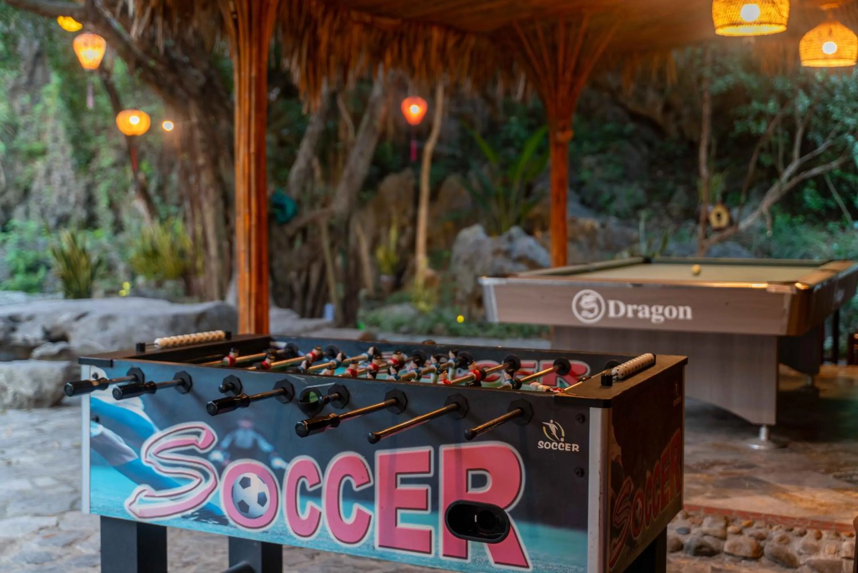 Billiard in THE GOAT BOUTIQUE RESORT