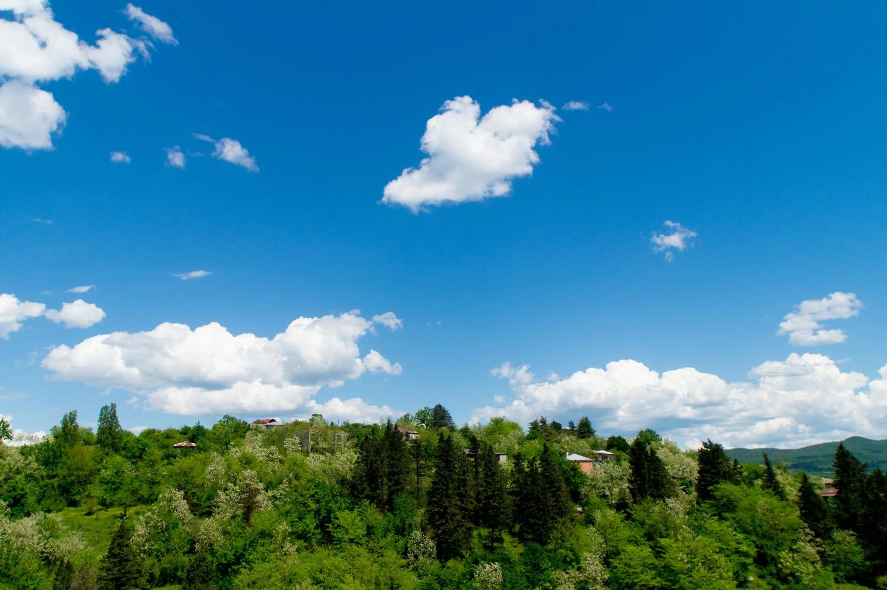 View (from property/room) in Bagrat Guest House